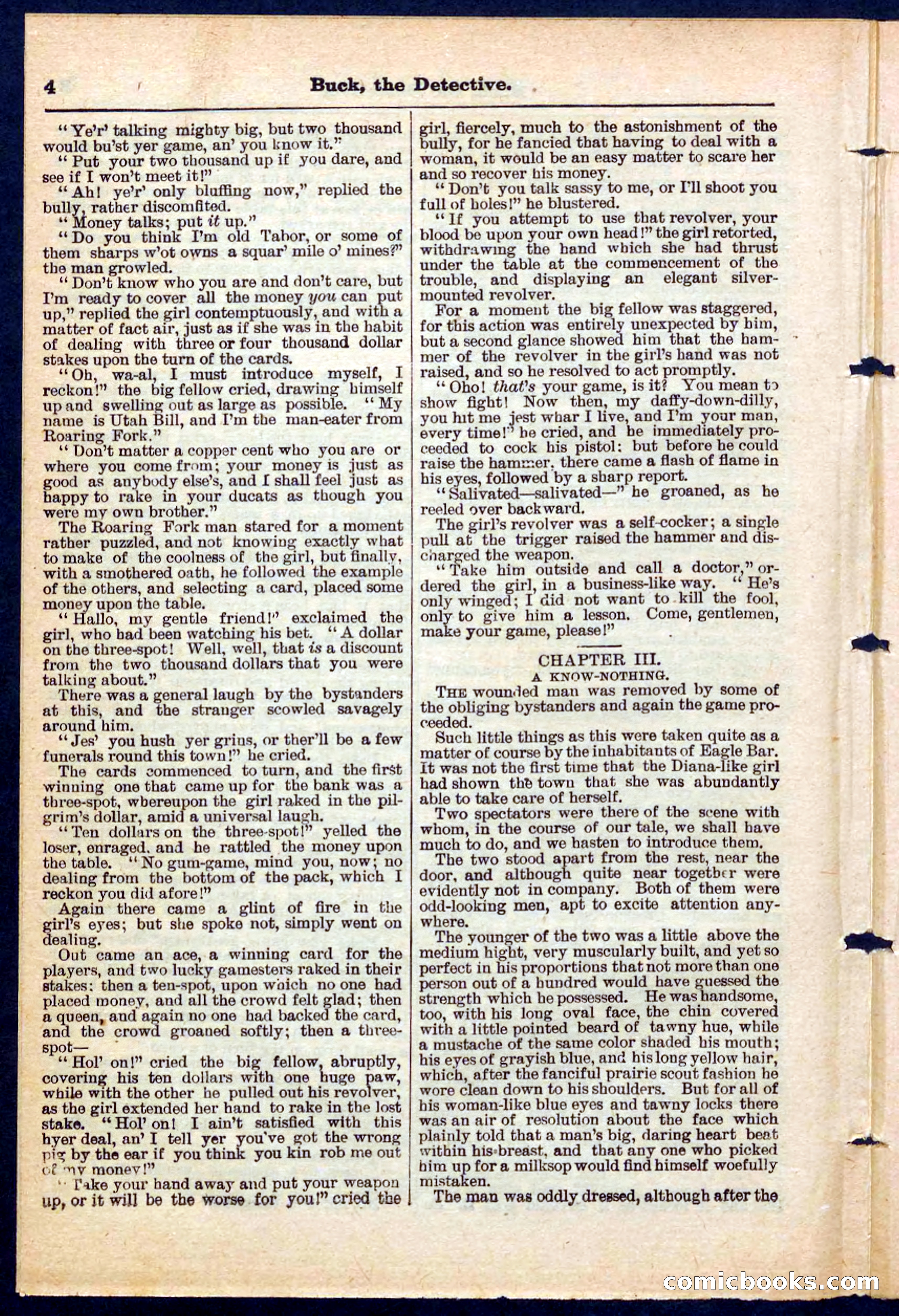 Beadle's Pocket Library No. 219: Buck the Detective — page 4 of 32