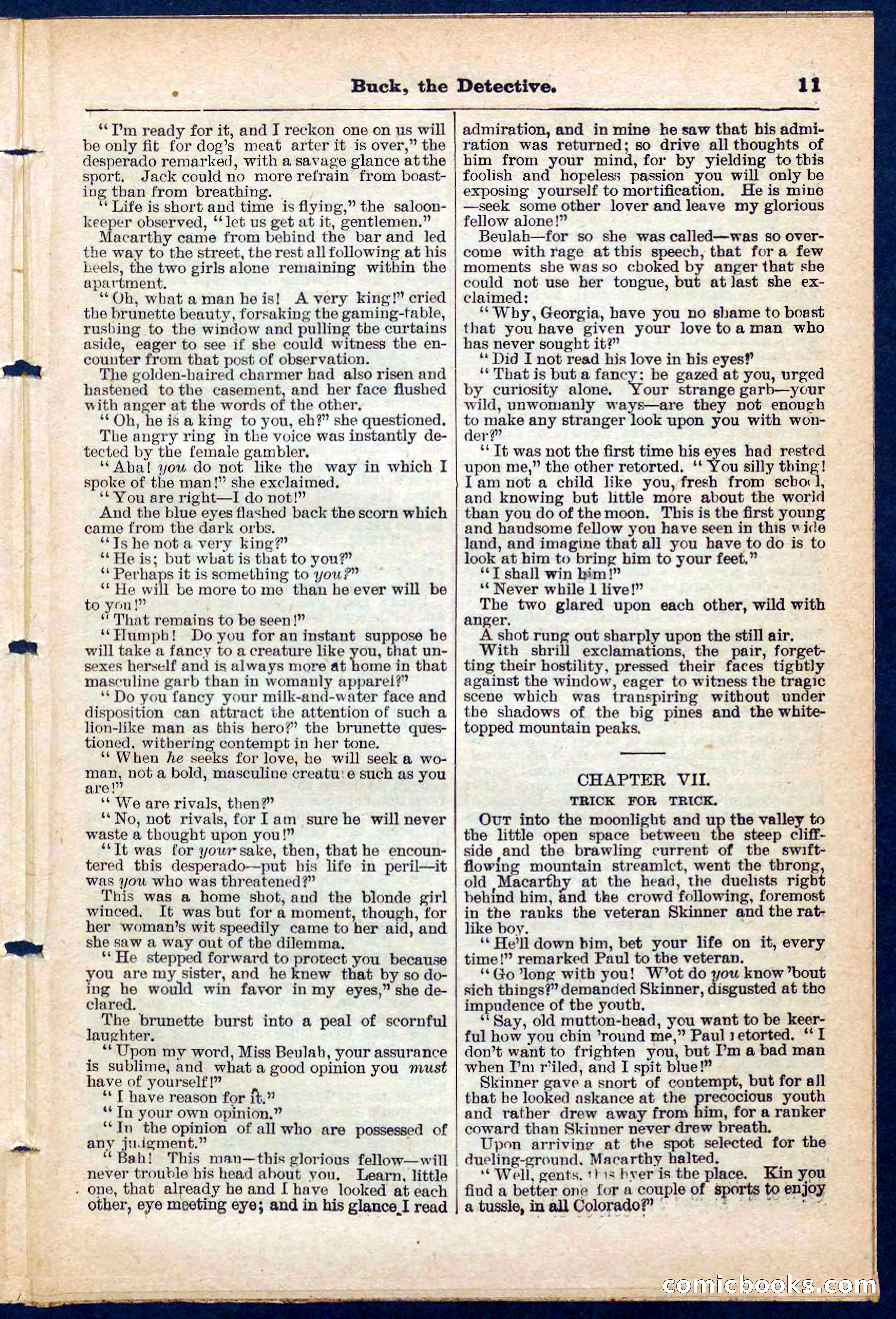 Beadle's Pocket Library No. 219: Buck the Detective — page 11 of 32