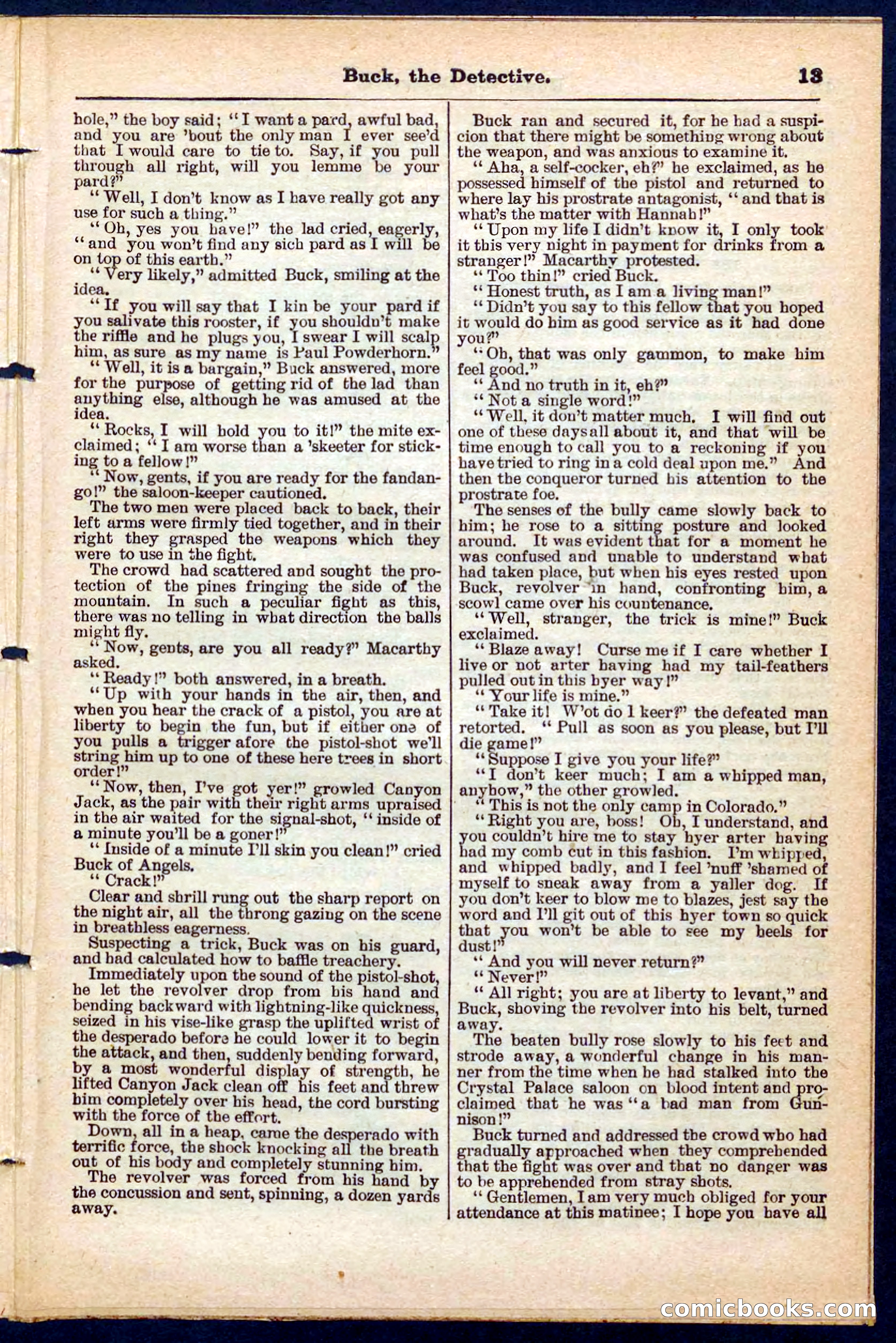 Beadle's Pocket Library No. 219: Buck the Detective — page 13 of 32