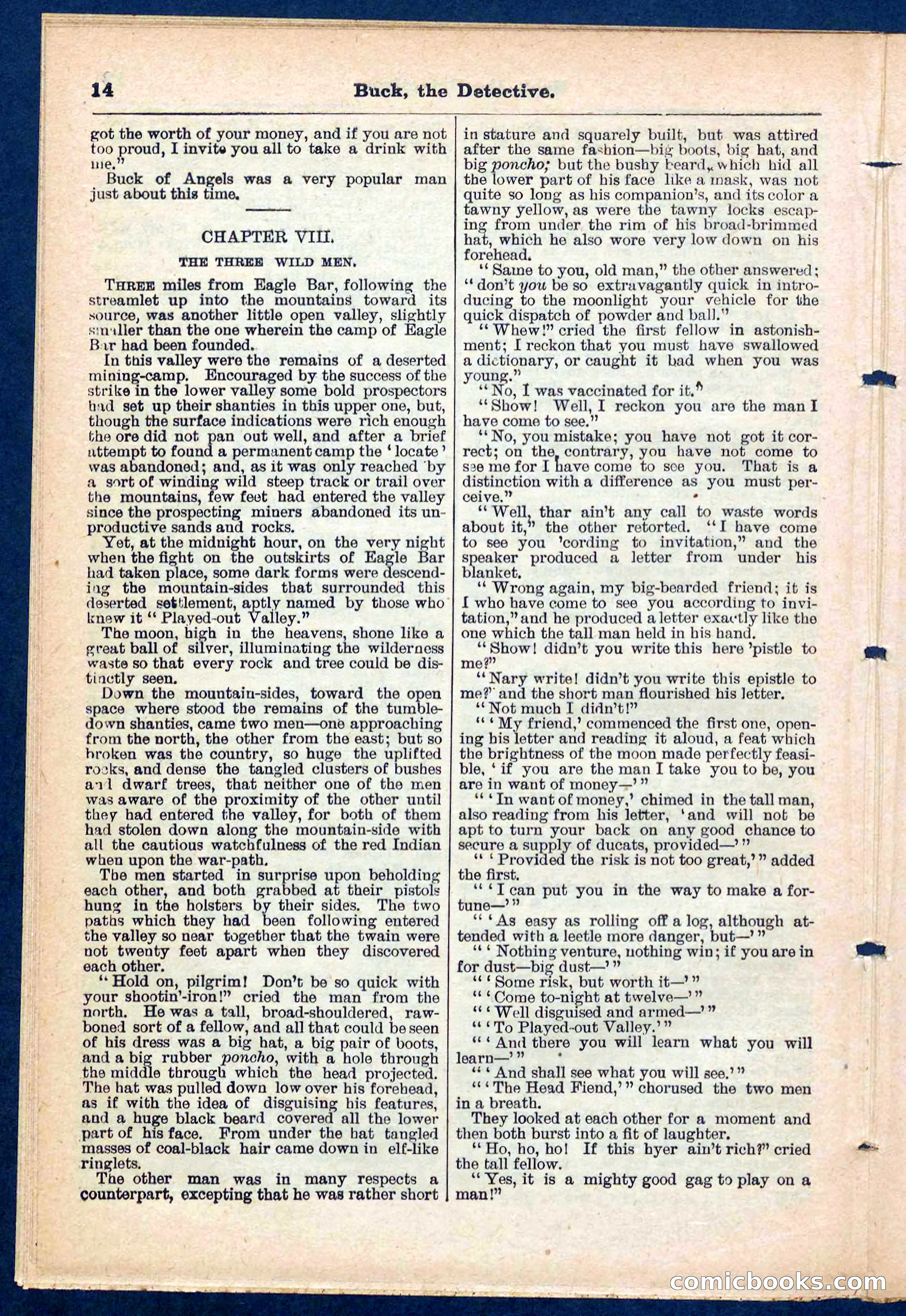 Beadle's Pocket Library No. 219: Buck the Detective — page 14 of 32