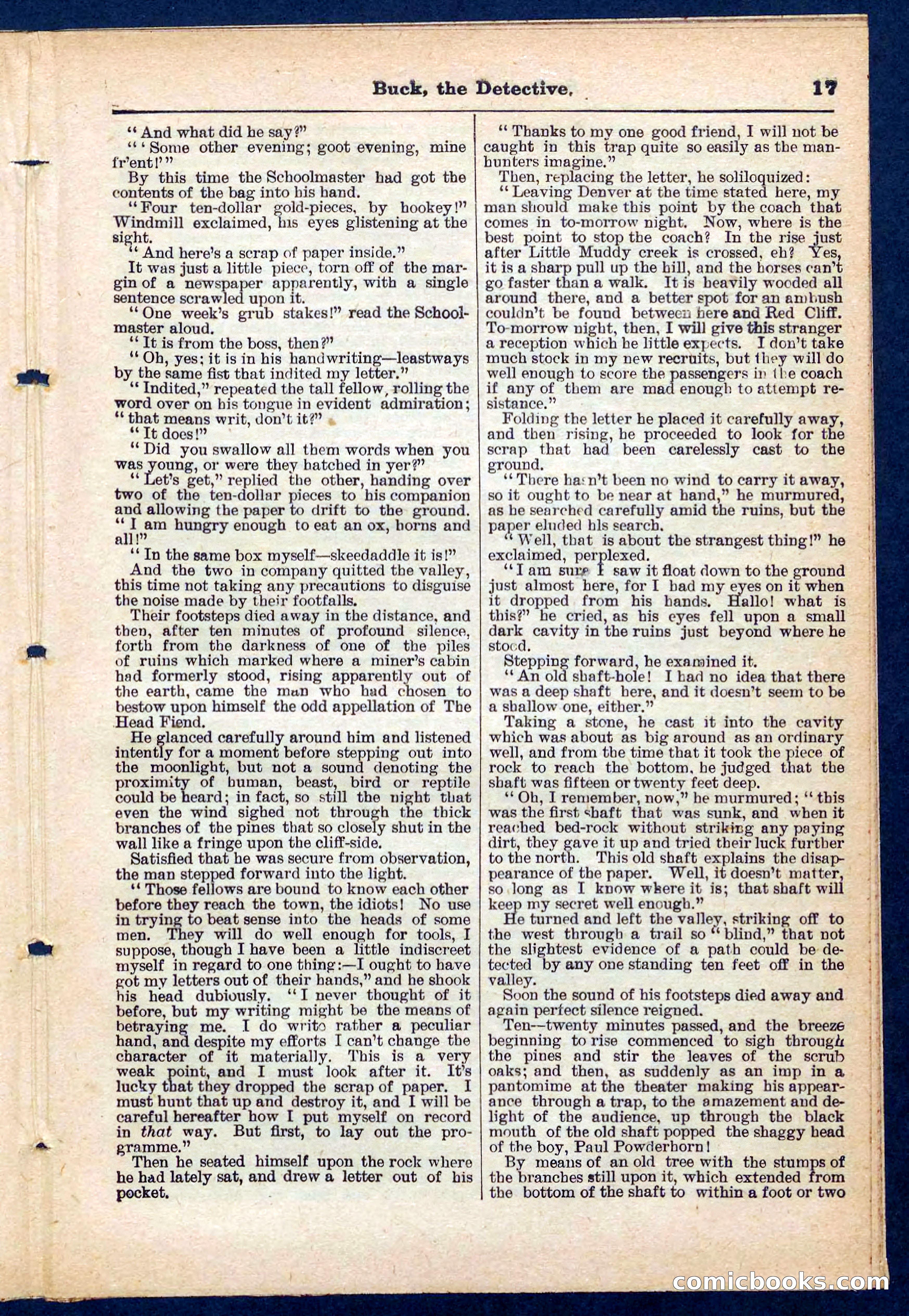 Beadle's Pocket Library No. 219: Buck the Detective — page 17 of 32