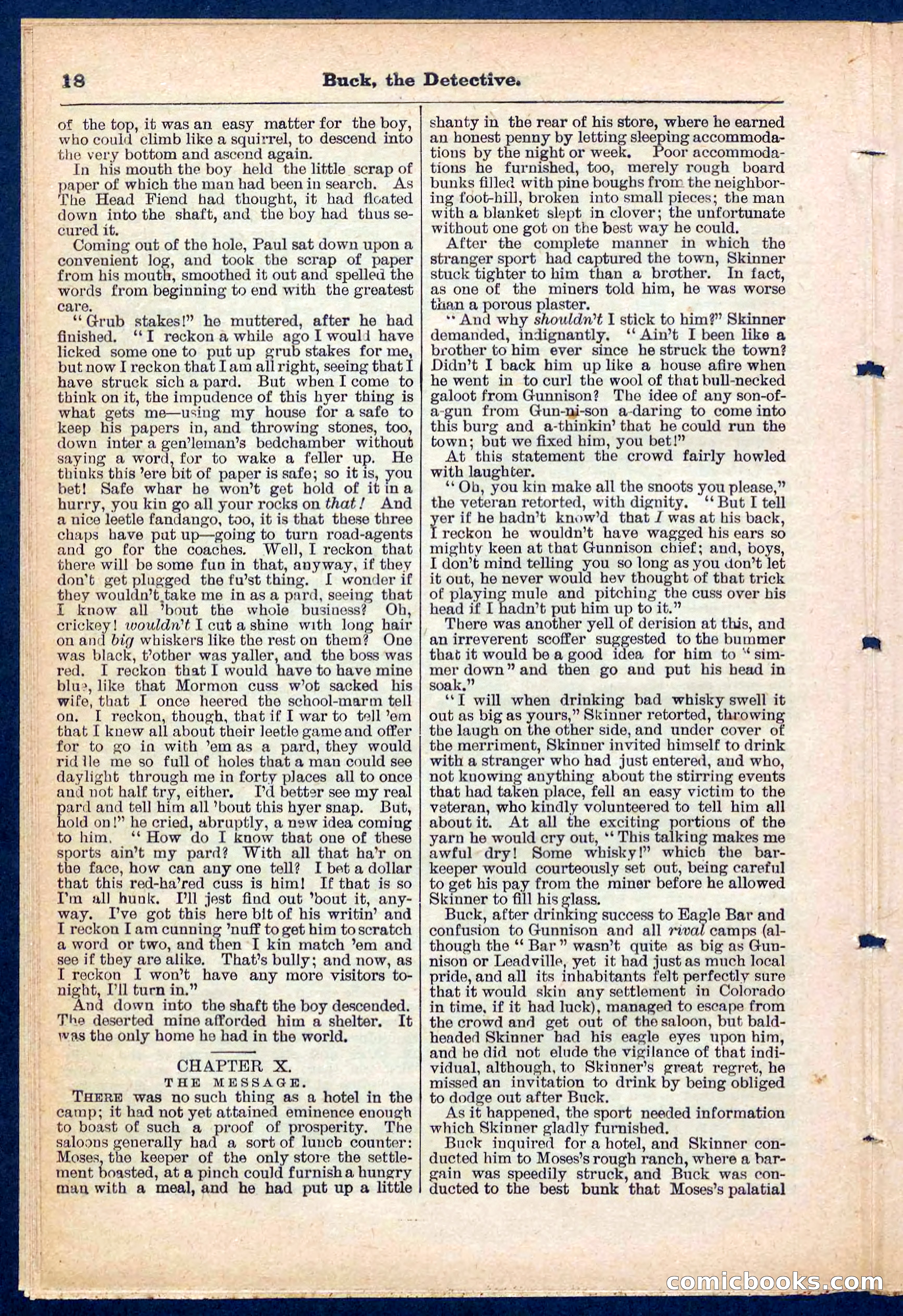Beadle's Pocket Library No. 219: Buck the Detective — page 18 of 32