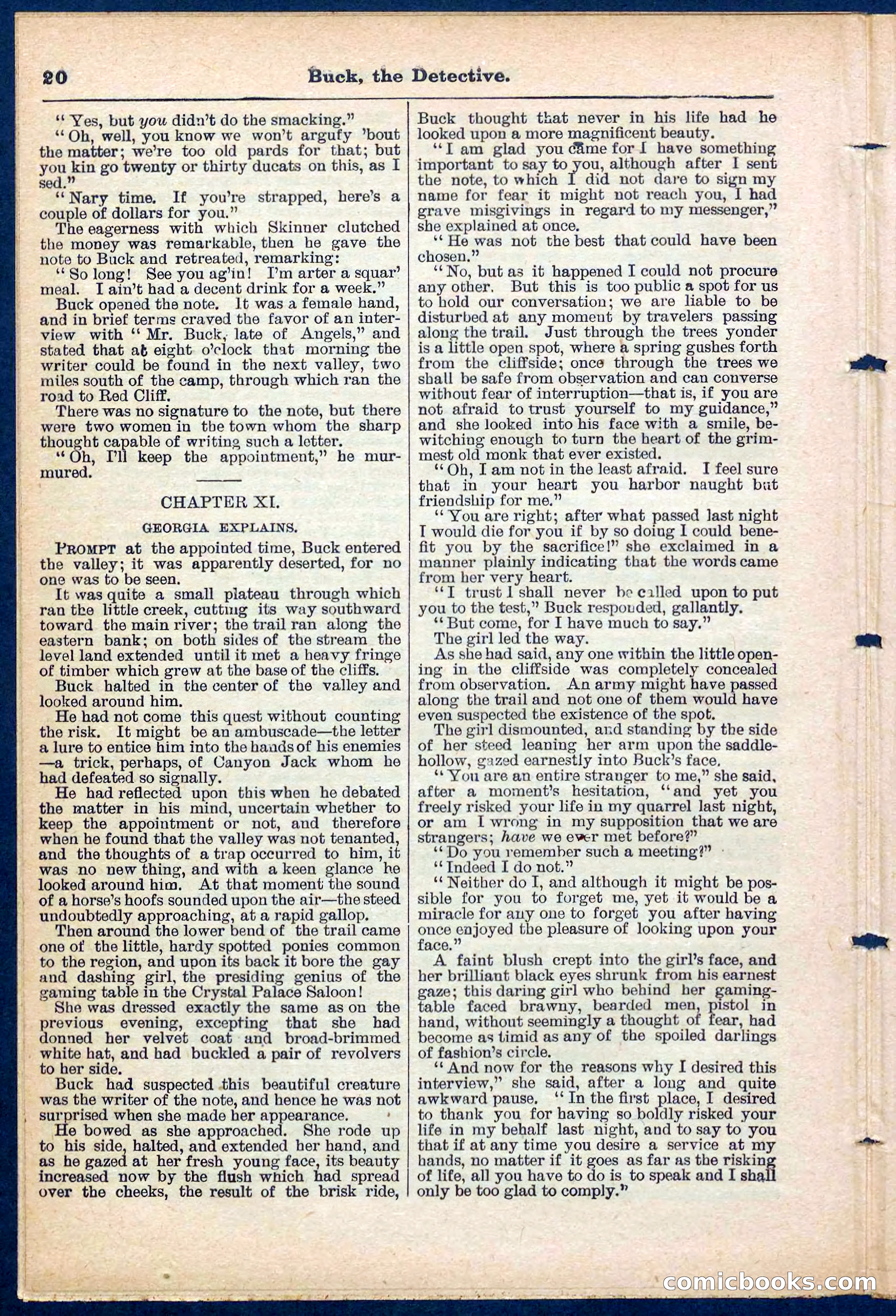 Beadle's Pocket Library No. 219: Buck the Detective — page 20 of 32