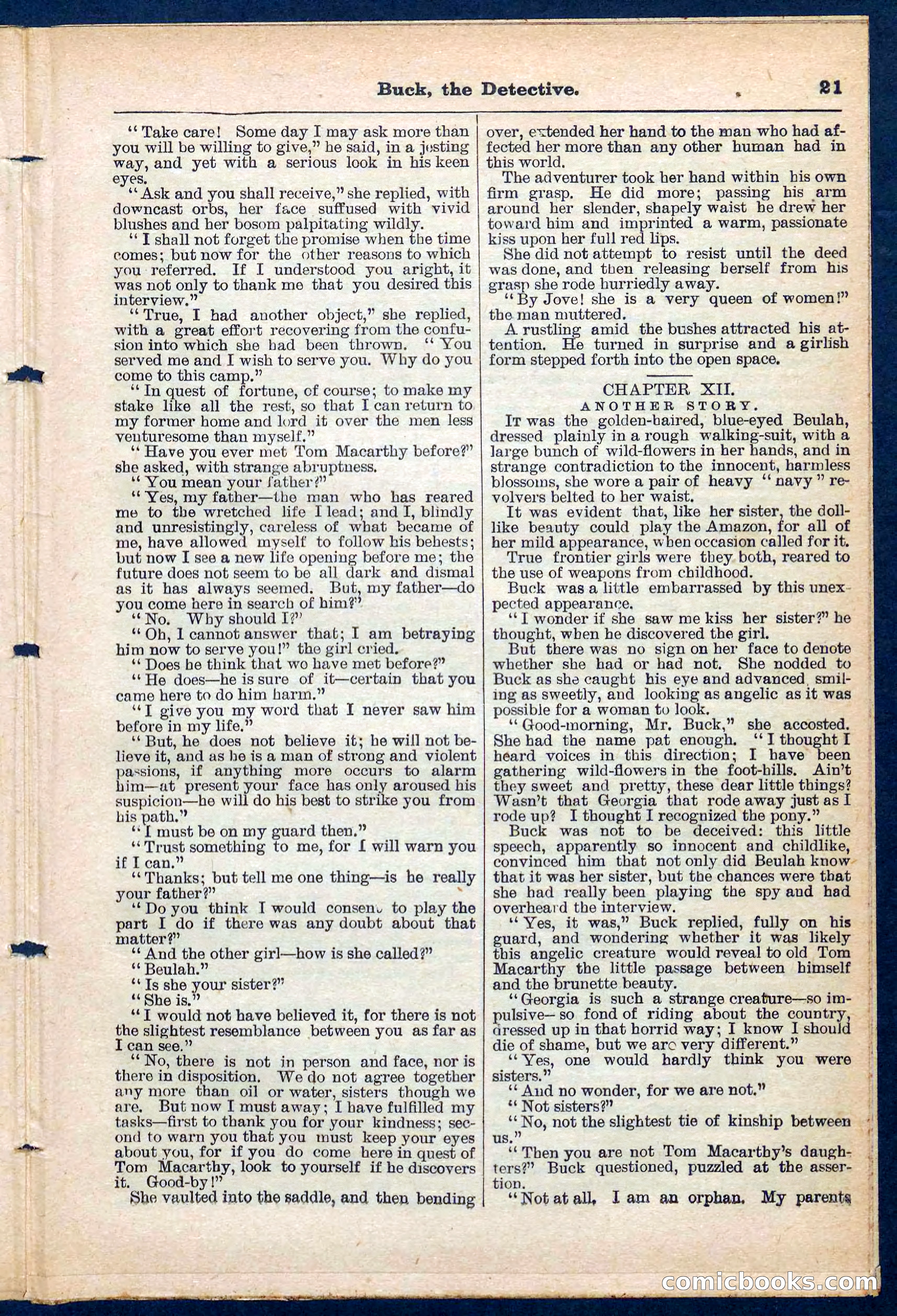 Beadle's Pocket Library No. 219: Buck the Detective — page 21 of 32