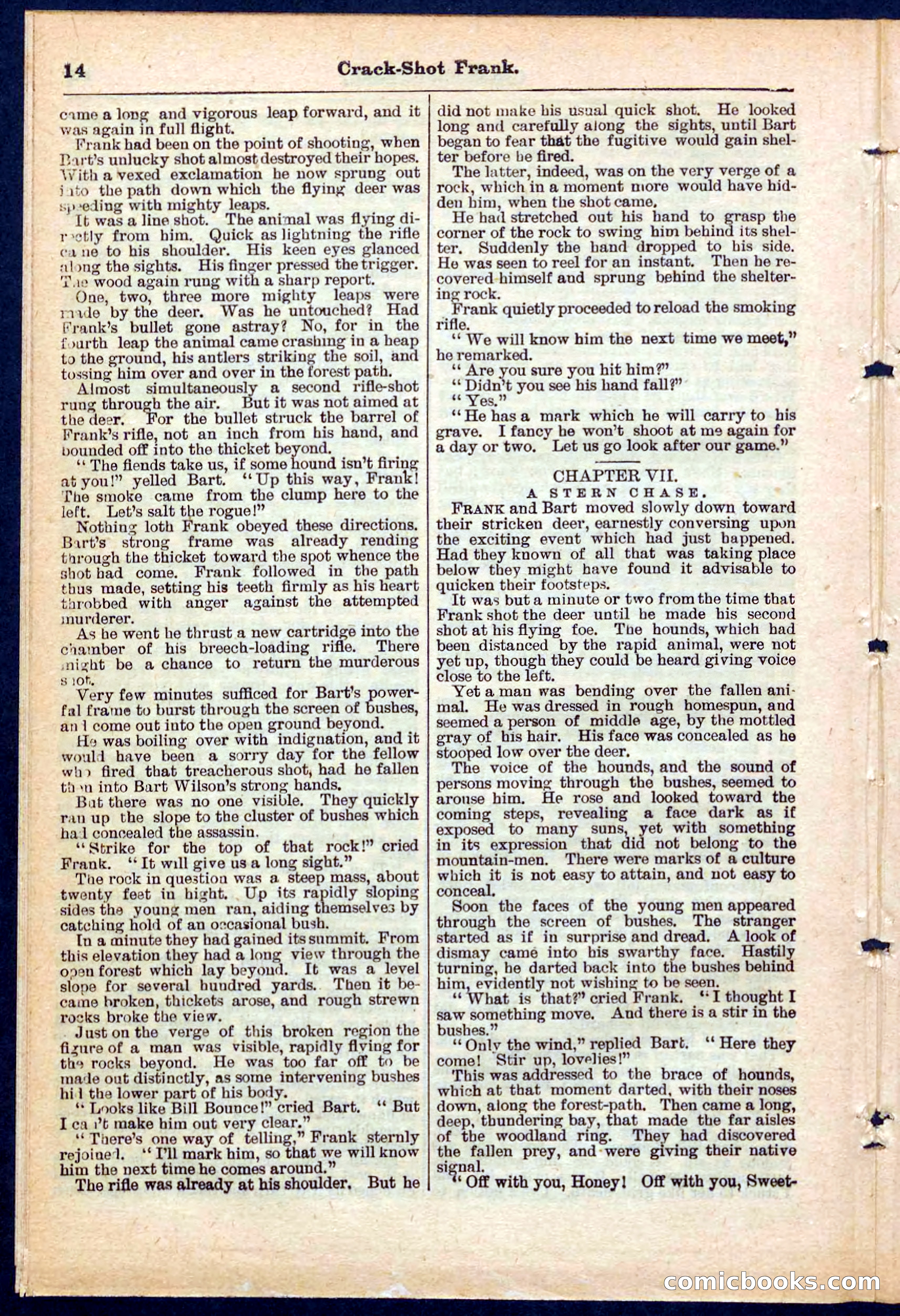 Beadle's Pocket Library No. 220 — page 14 of 32