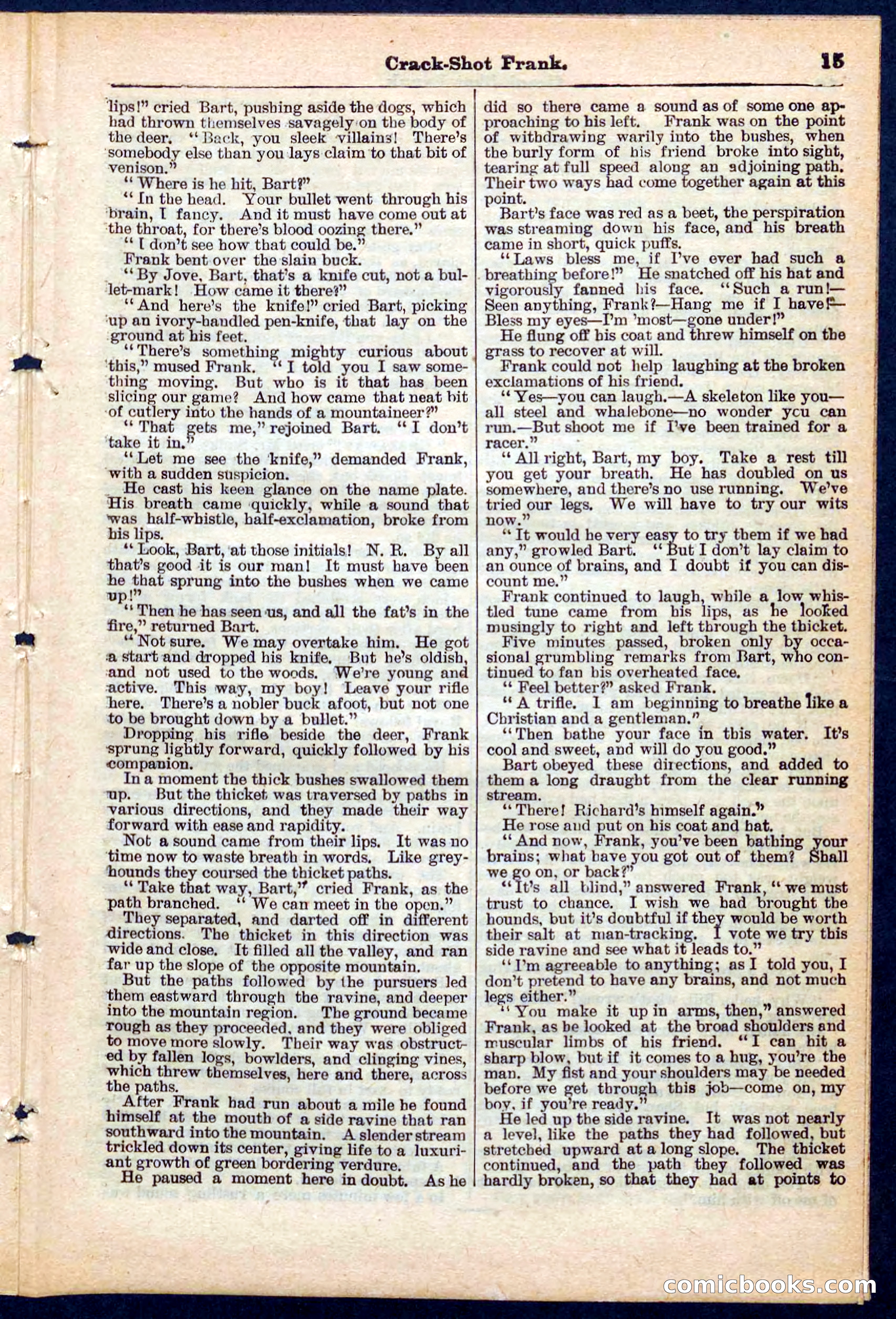 Beadle's Pocket Library No. 220 — page 15 of 32