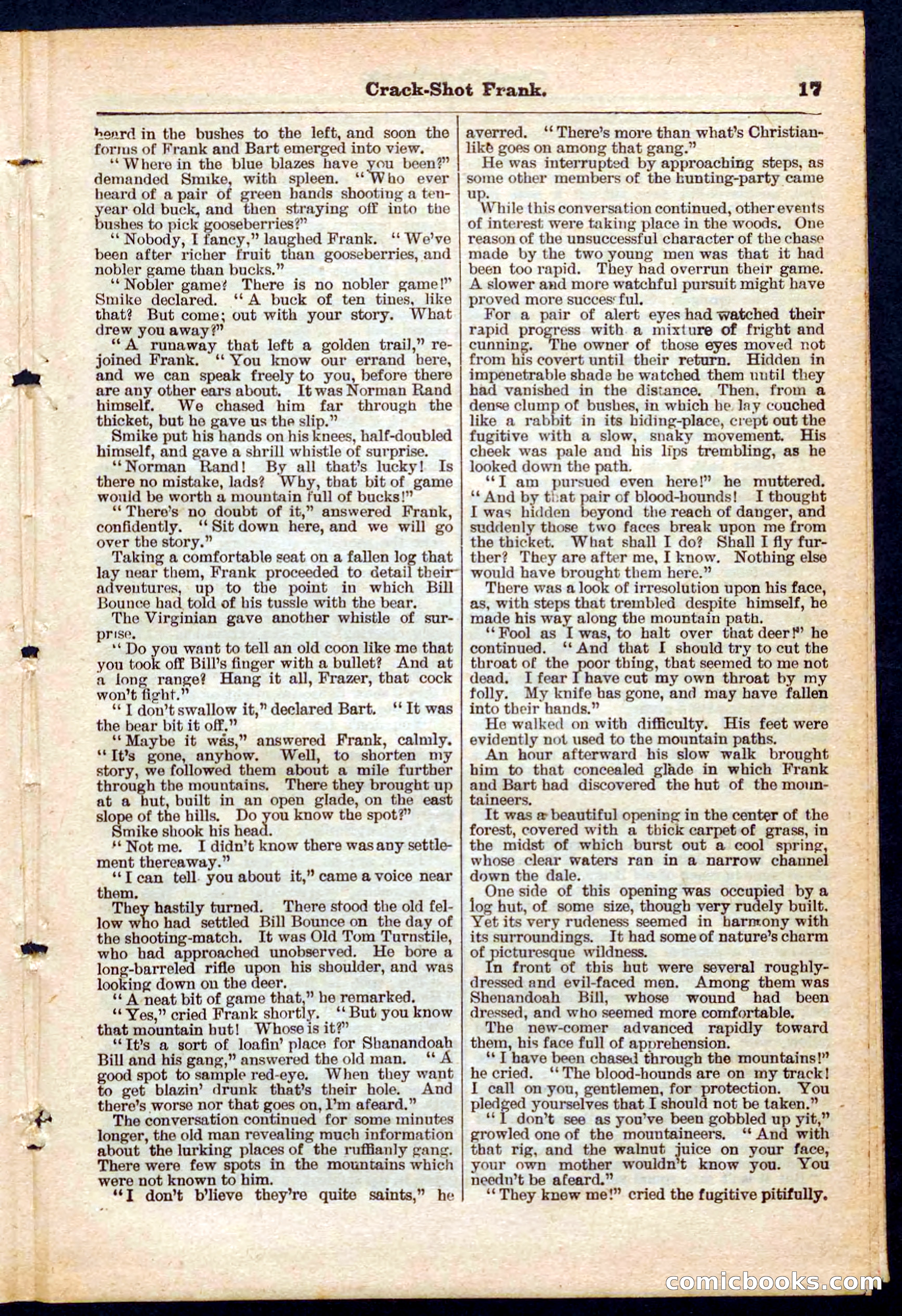 Beadle's Pocket Library No. 220 — page 17 of 32