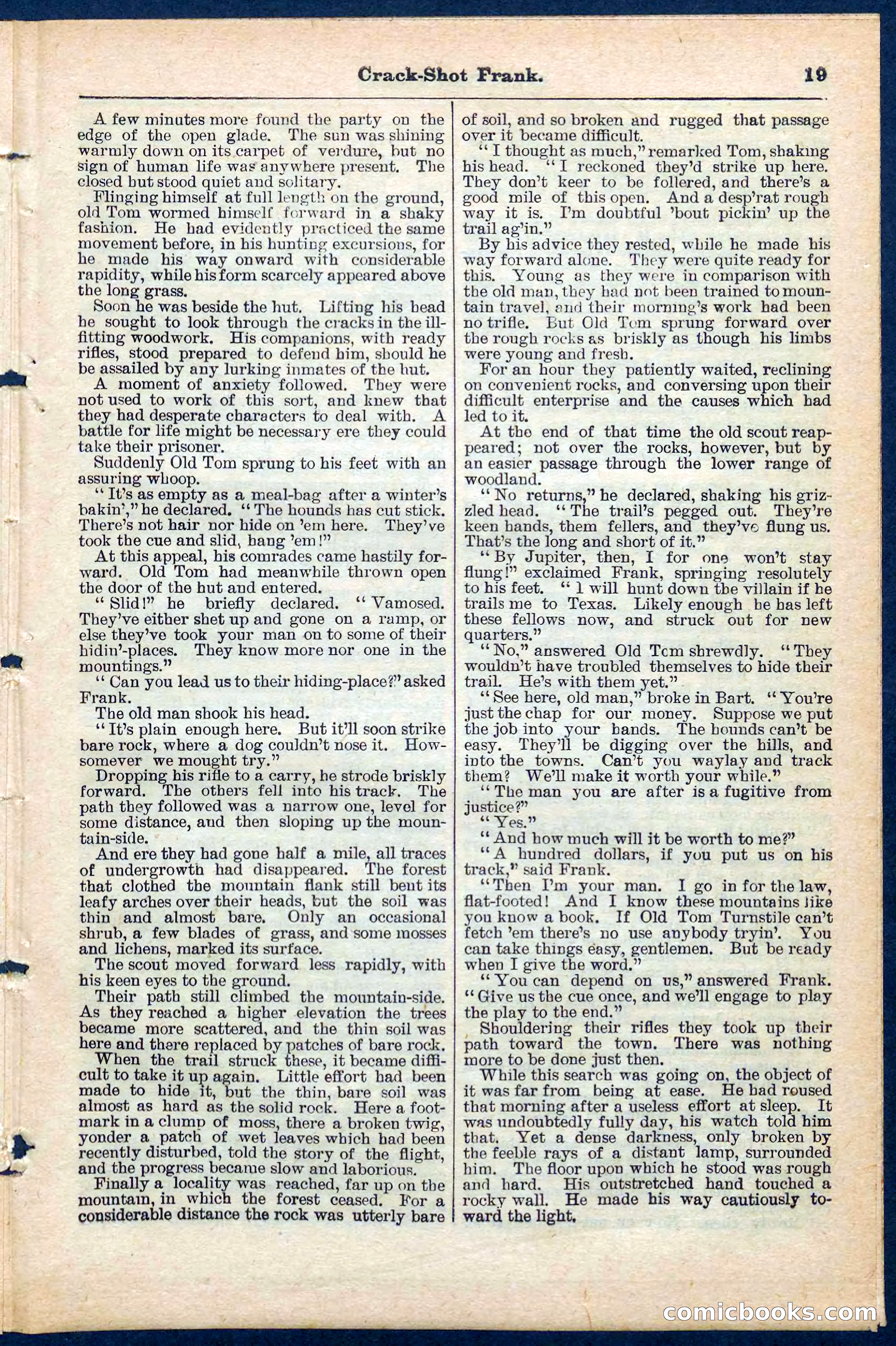 Beadle's Pocket Library No. 220 — page 19 of 32