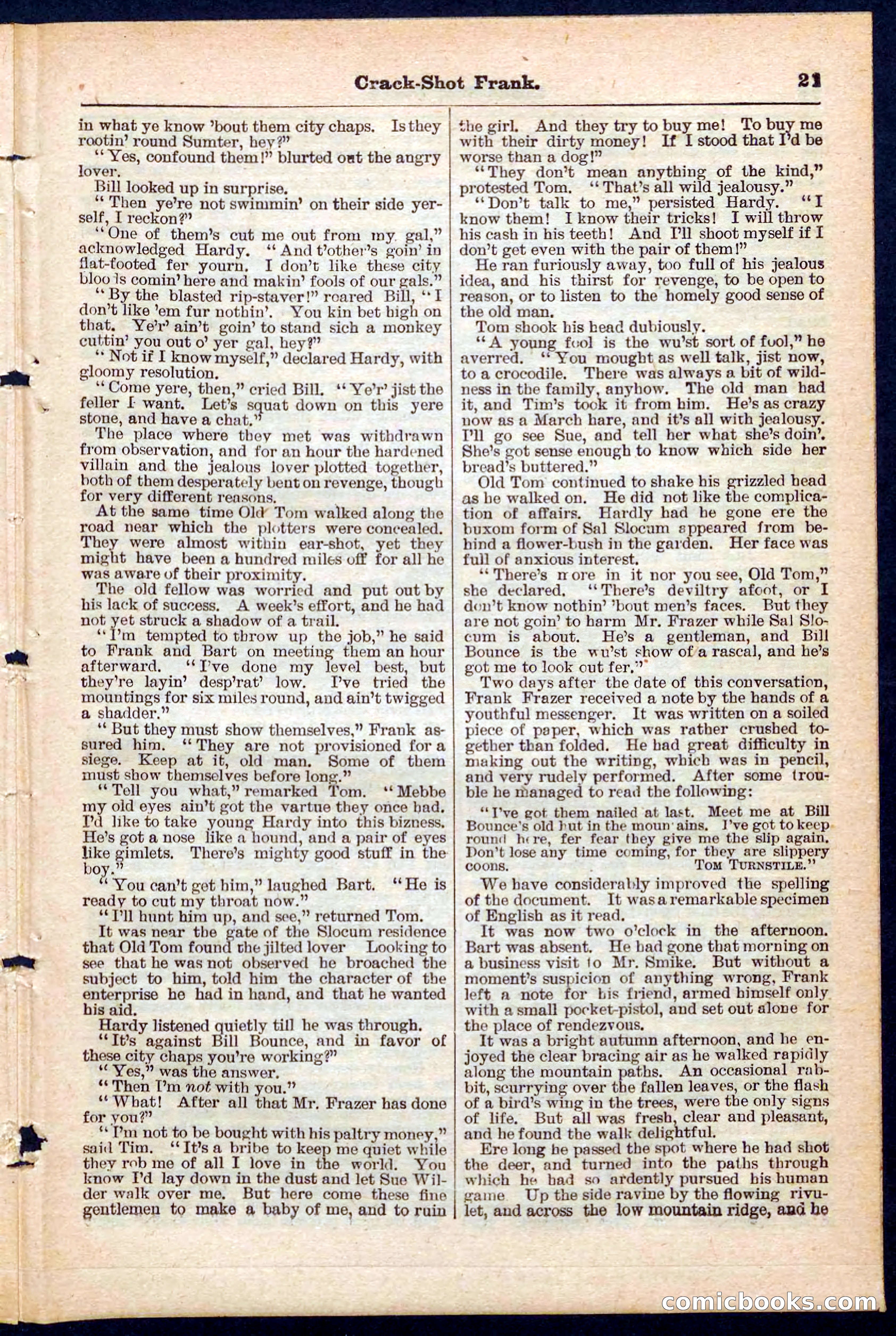 Beadle's Pocket Library No. 220 — page 21 of 32