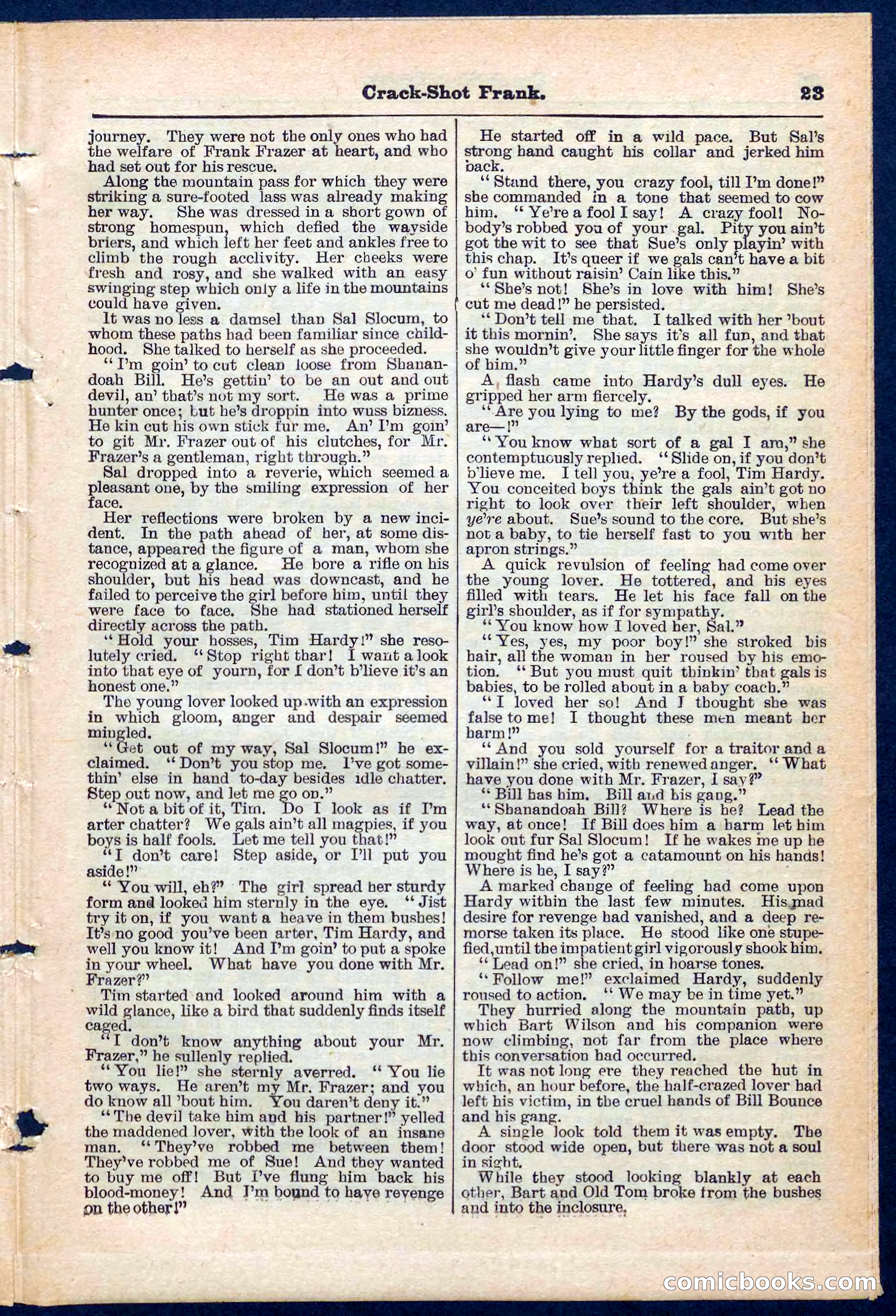 Beadle's Pocket Library No. 220 — page 23 of 32