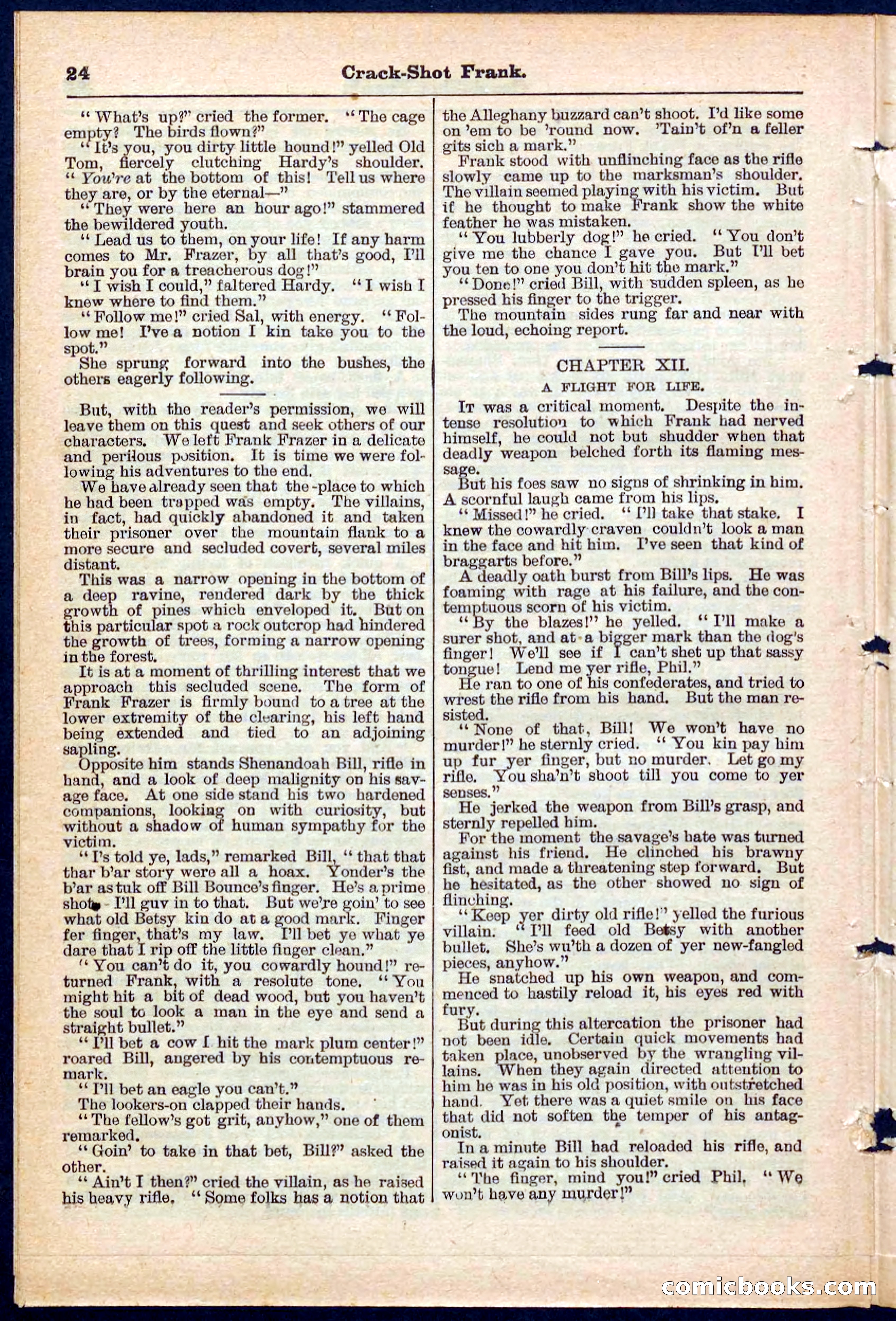 Beadle's Pocket Library No. 220 — page 24 of 32