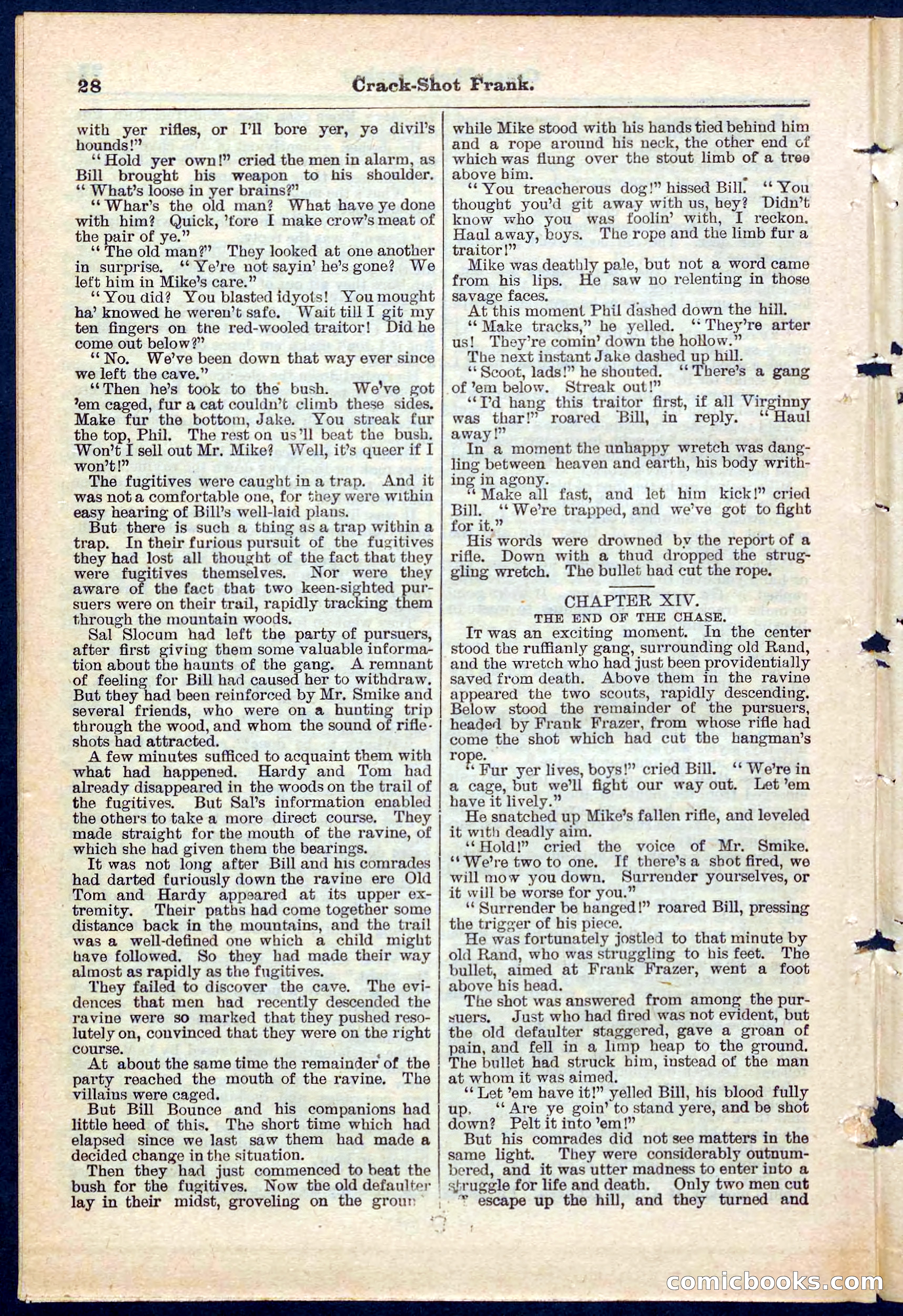 Beadle's Pocket Library No. 220 — page 28 of 32