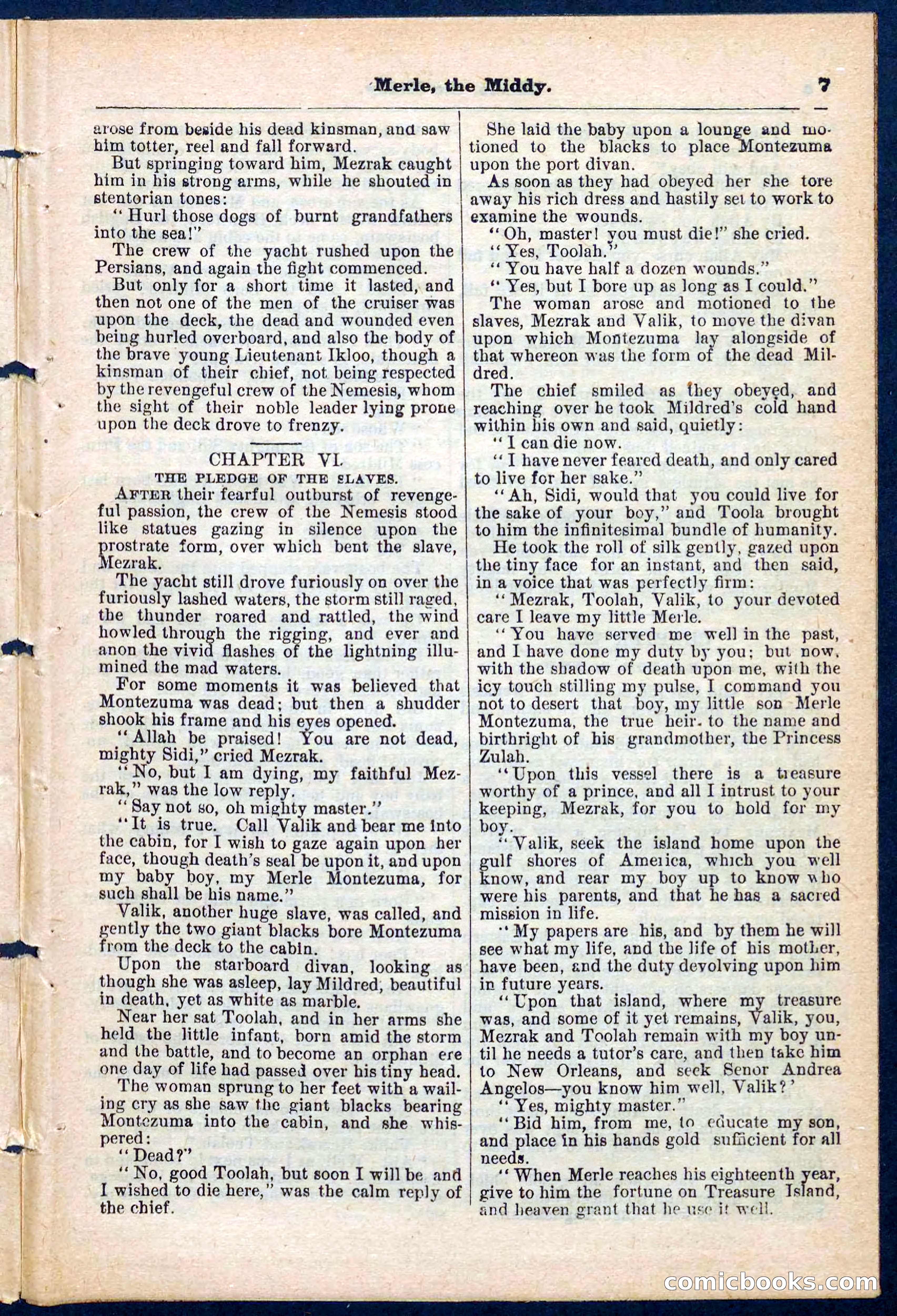 Beadle's Pocket Library No. 221 — page 7 of 32