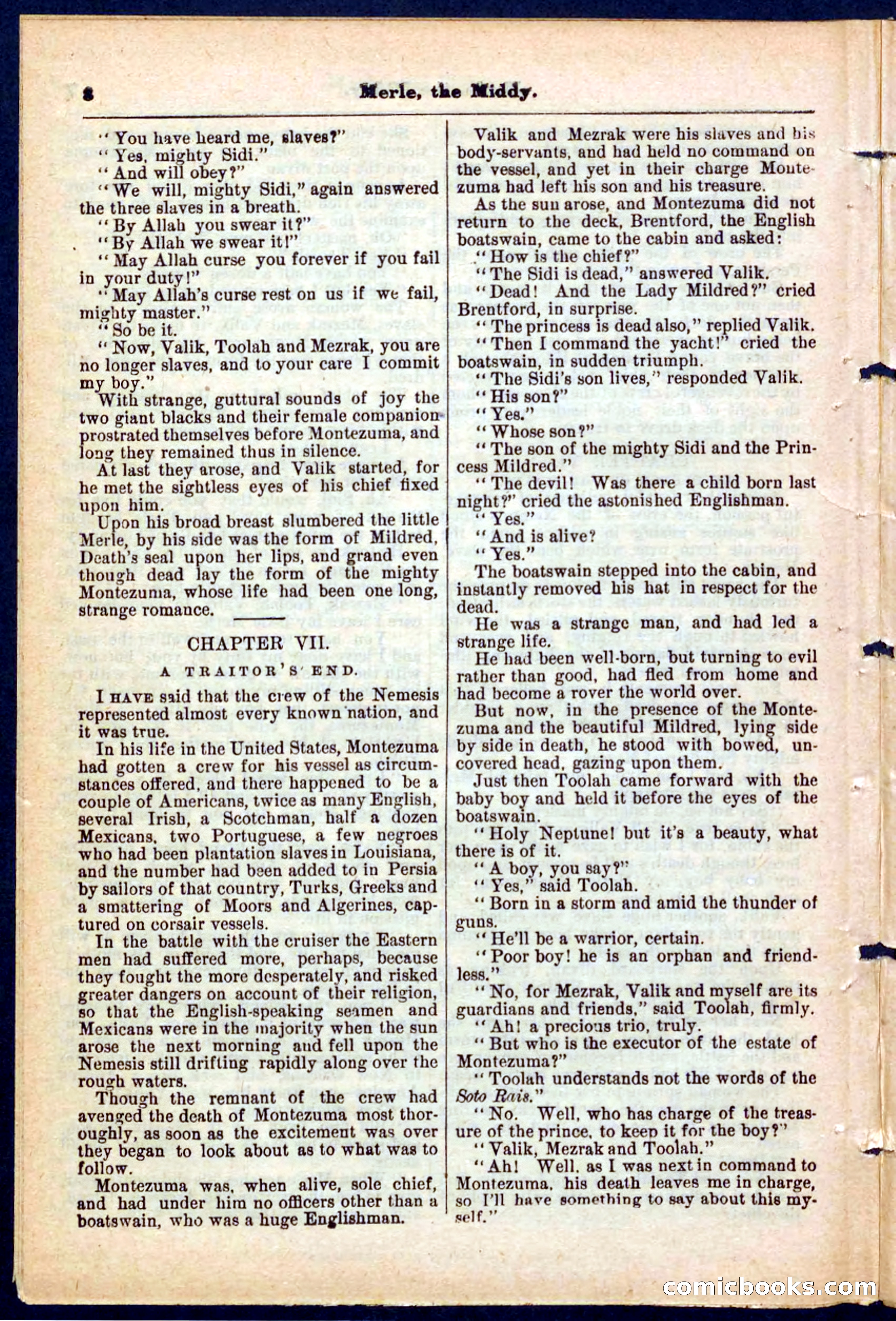 Beadle's Pocket Library No. 221 — page 8 of 32