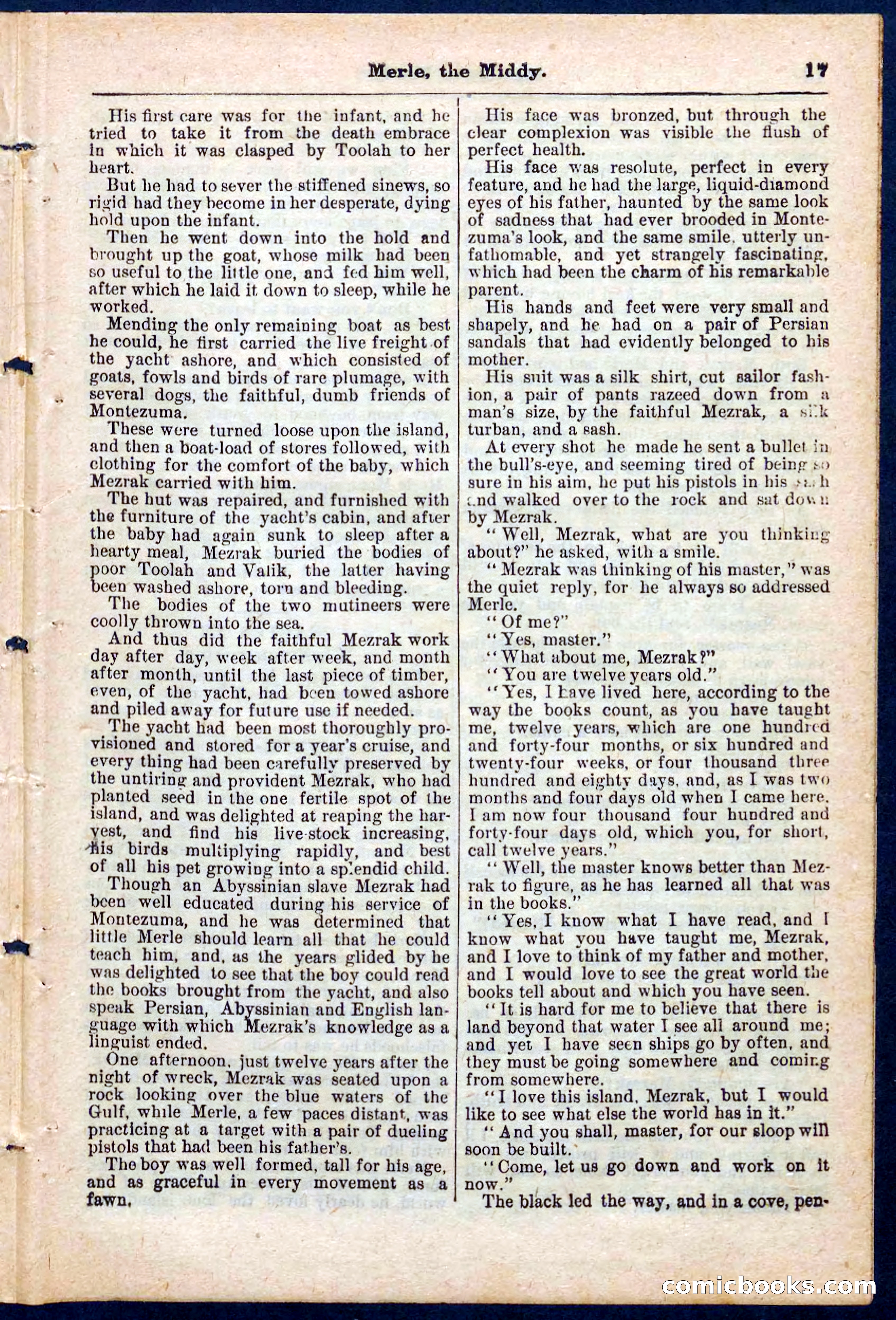 Beadle's Pocket Library No. 221 — page 17 of 32