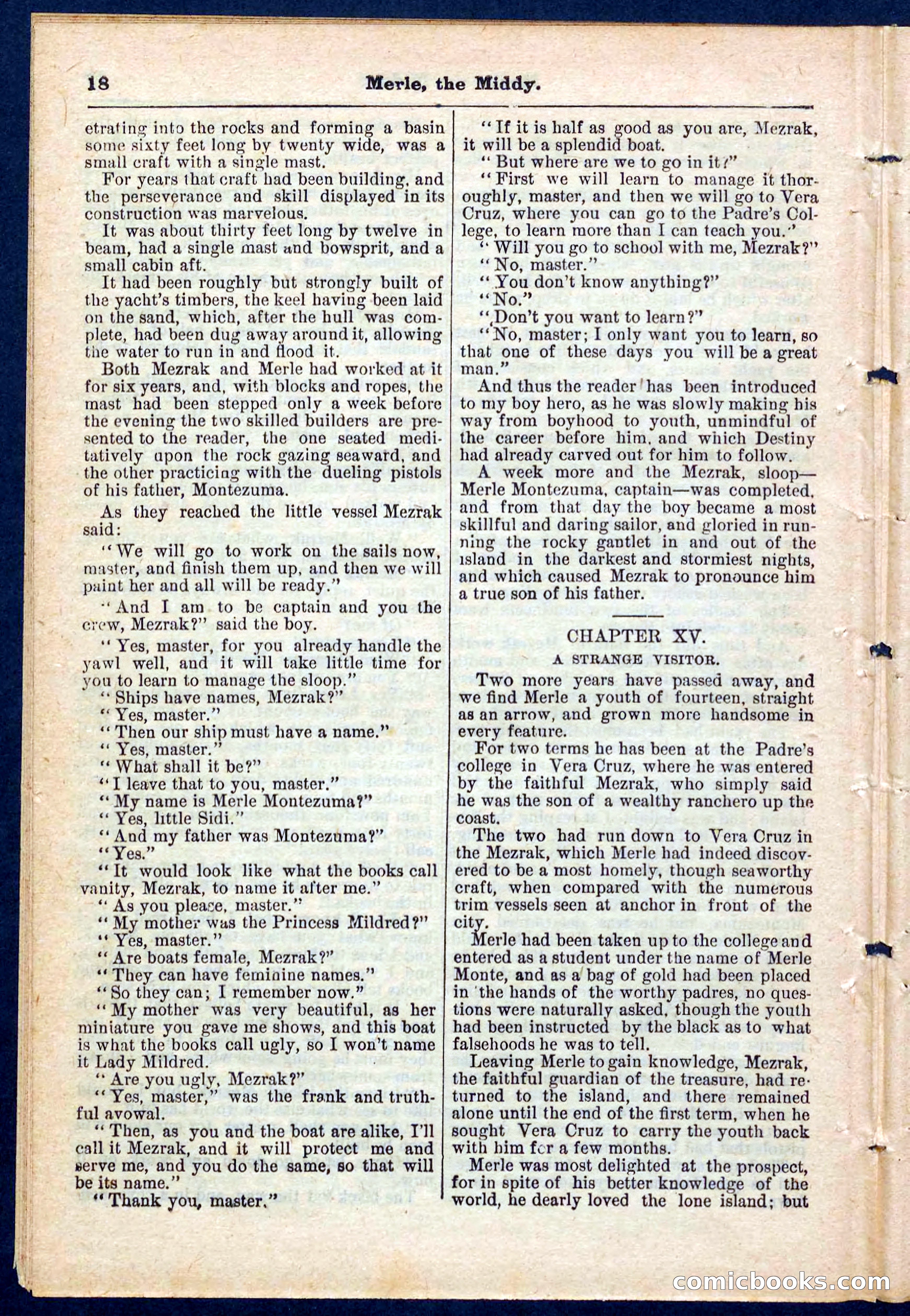 Beadle's Pocket Library No. 221 — page 18 of 32