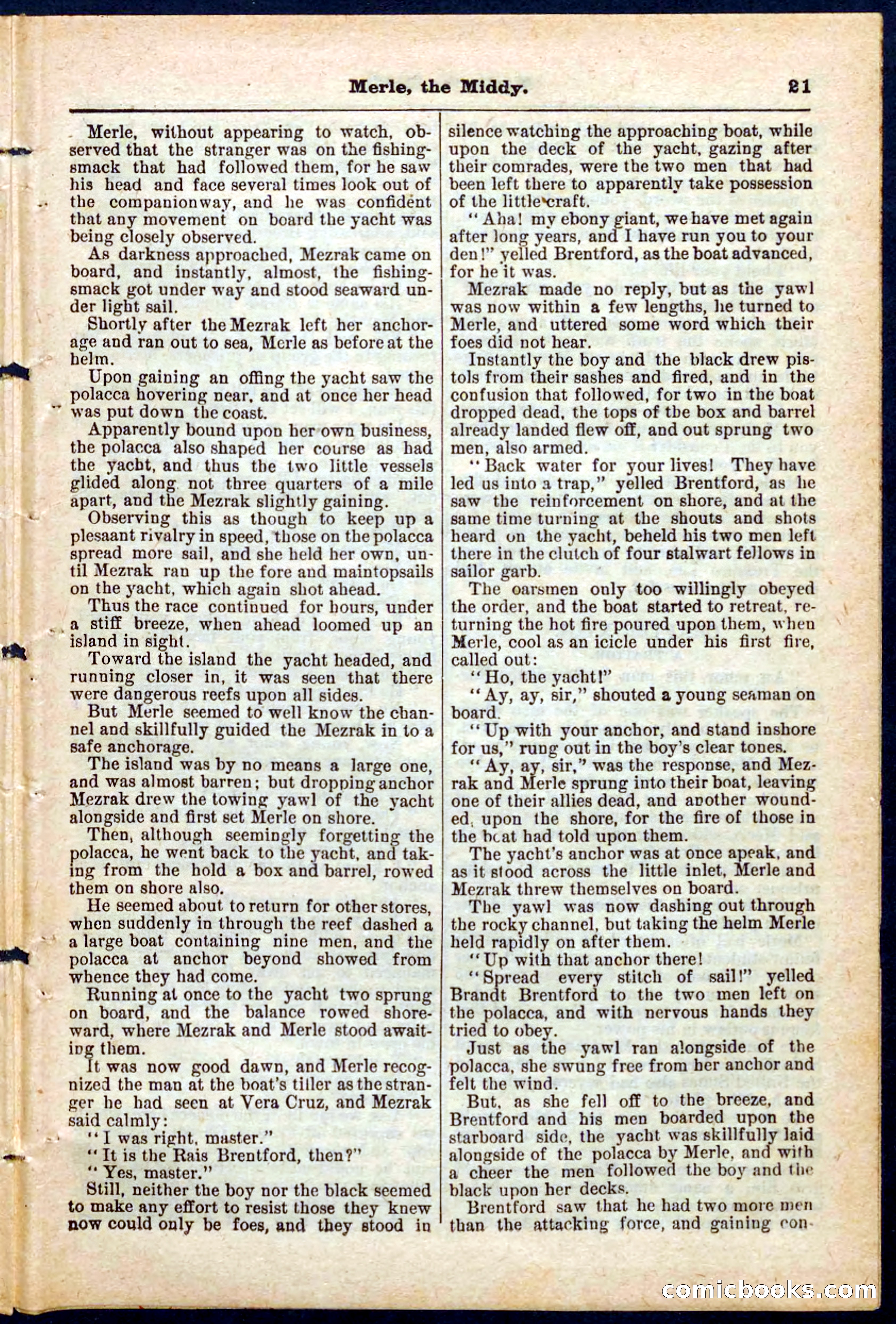 Beadle's Pocket Library No. 221 — page 21 of 32