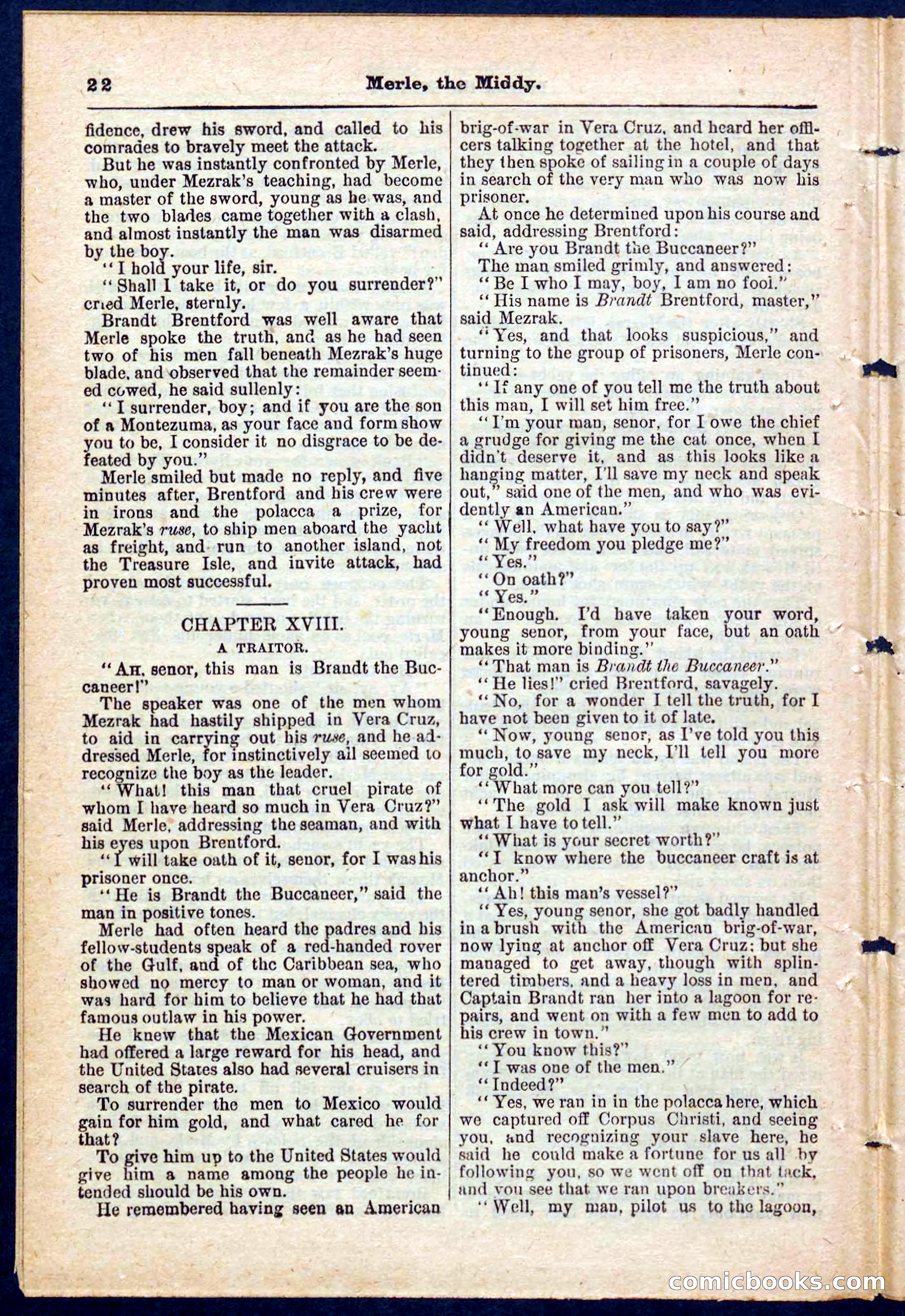 Beadle's Pocket Library No. 221 — page 22 of 32