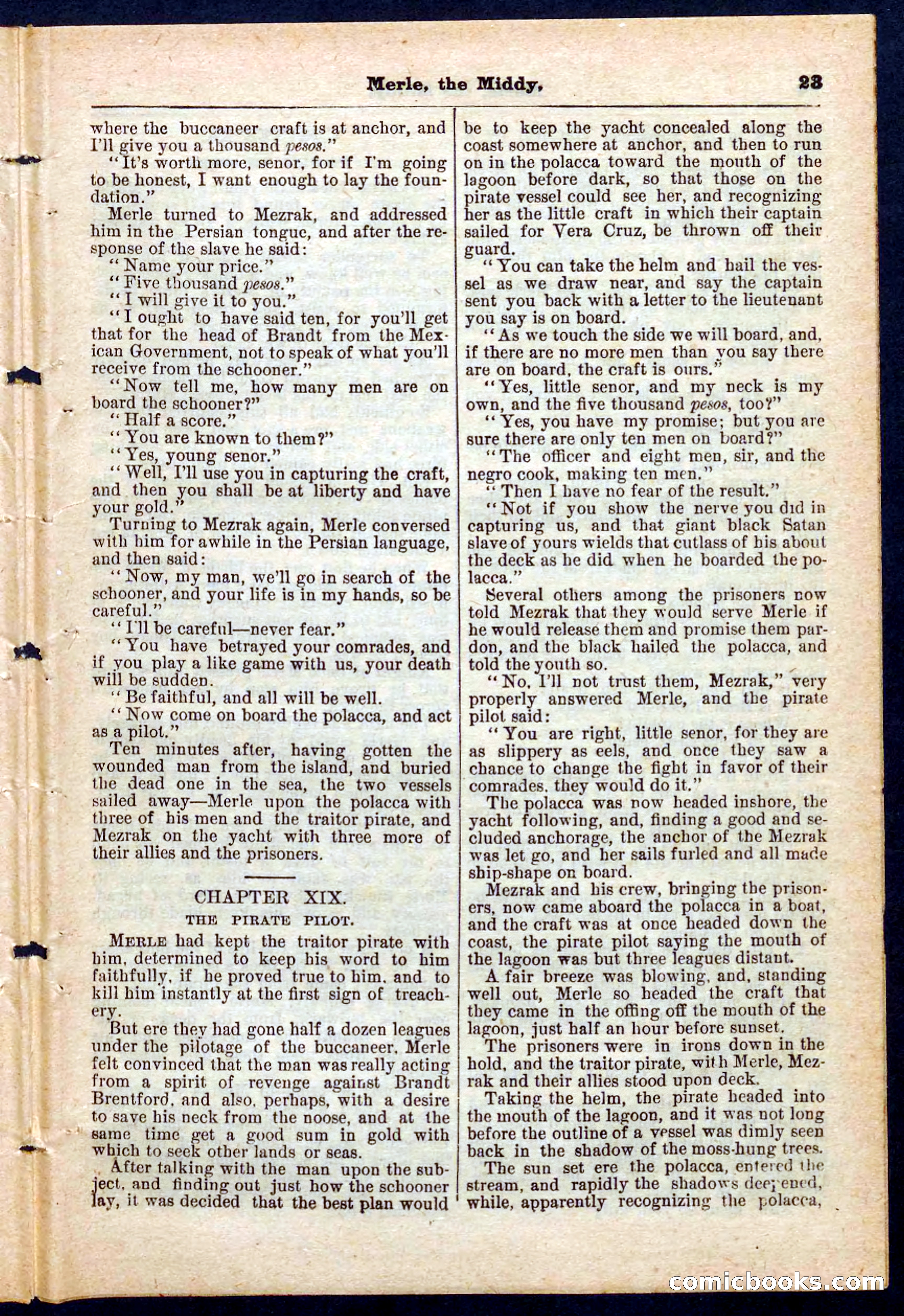 Beadle's Pocket Library No. 221 — page 23 of 32