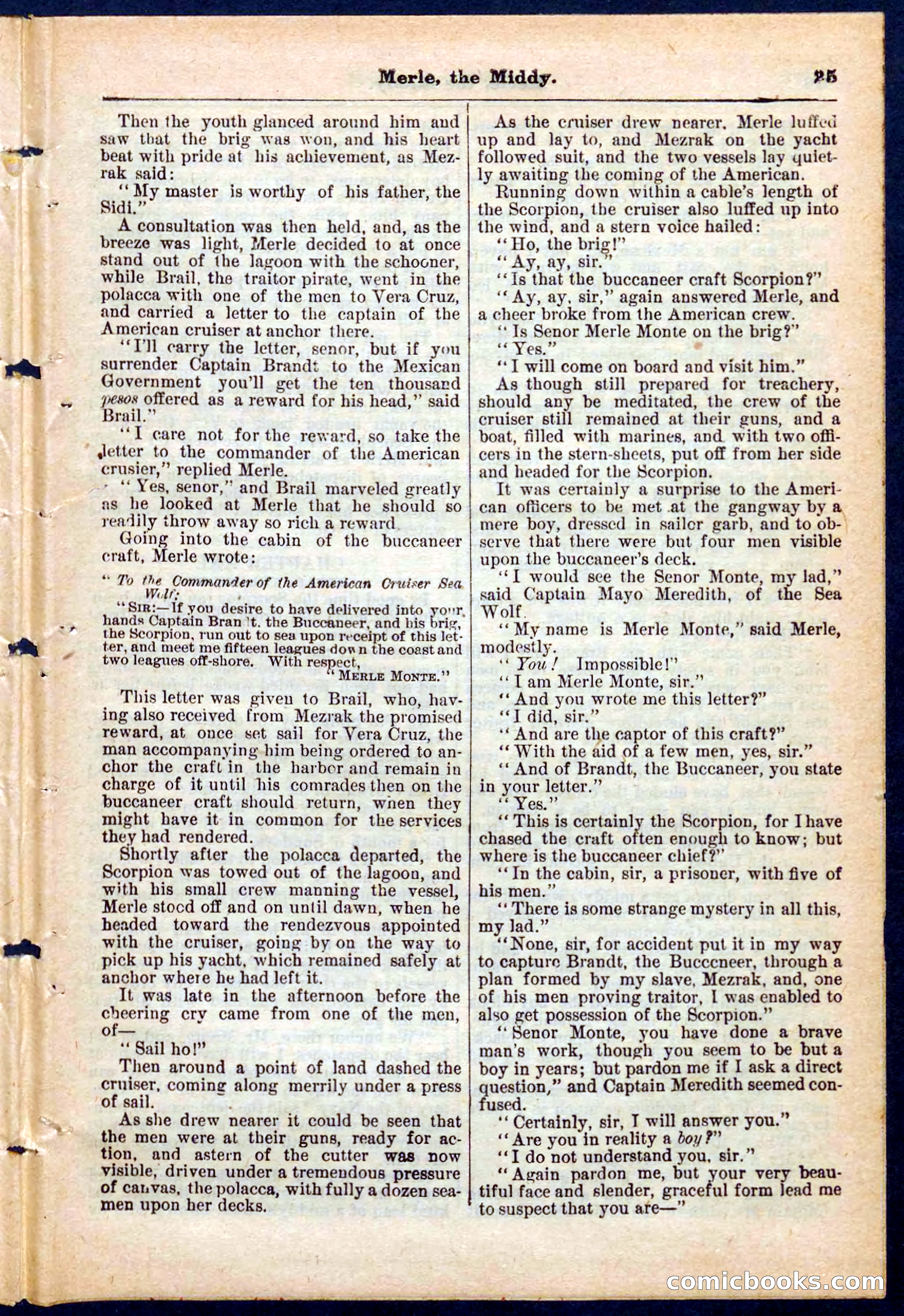 Beadle's Pocket Library No. 221 — page 25 of 32