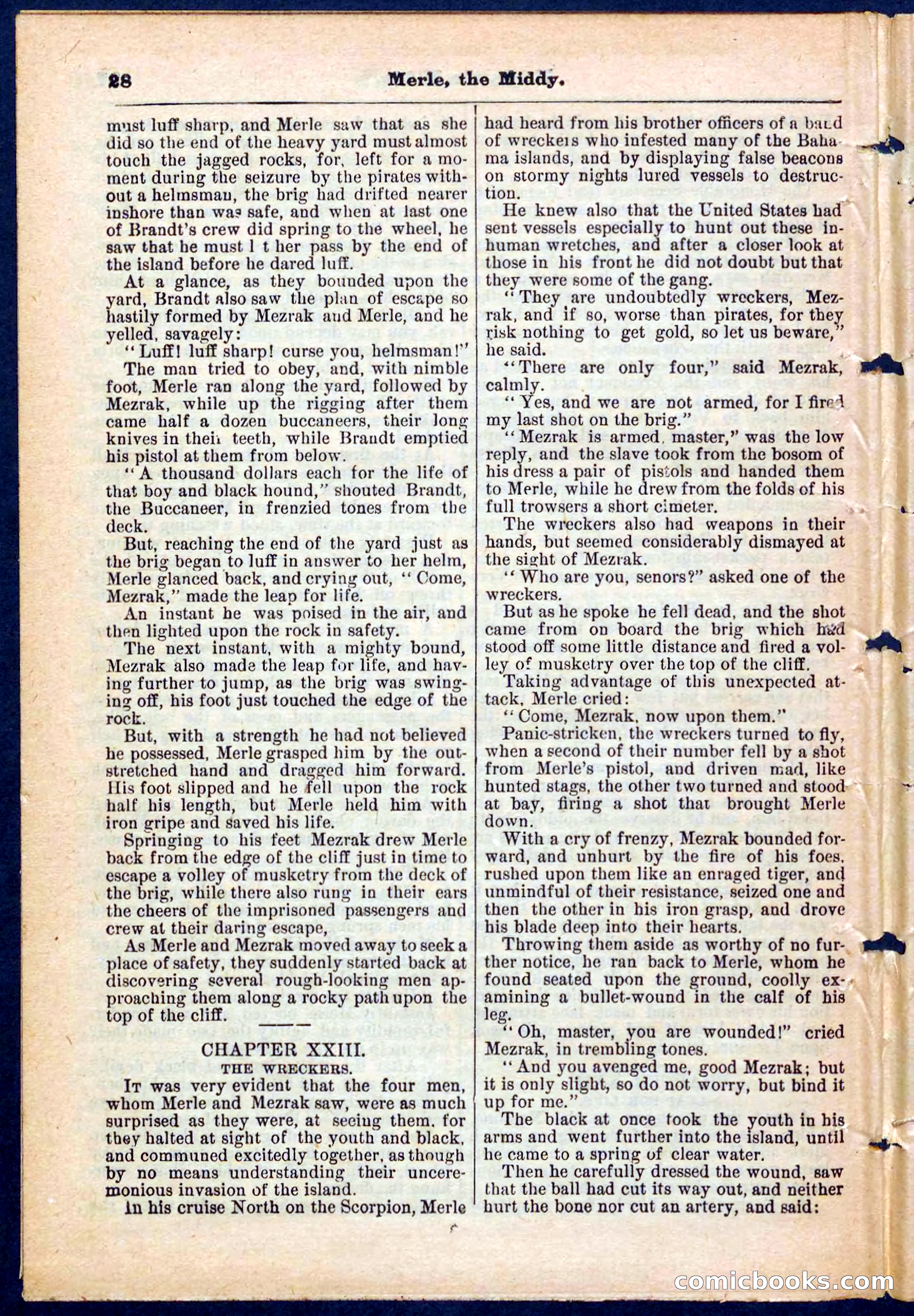 Beadle's Pocket Library No. 221 — page 28 of 32