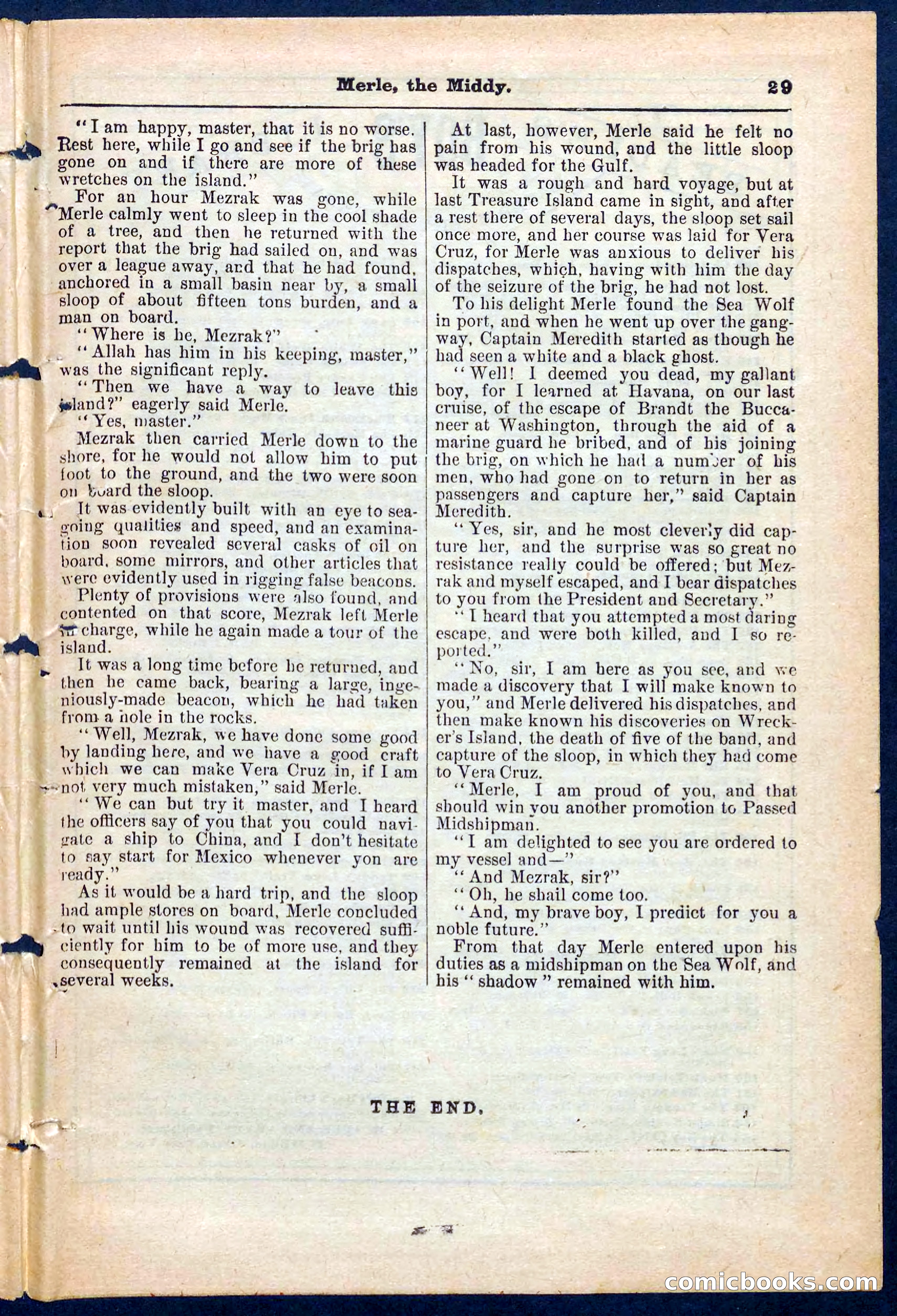 Beadle's Pocket Library No. 221 — page 29 of 32