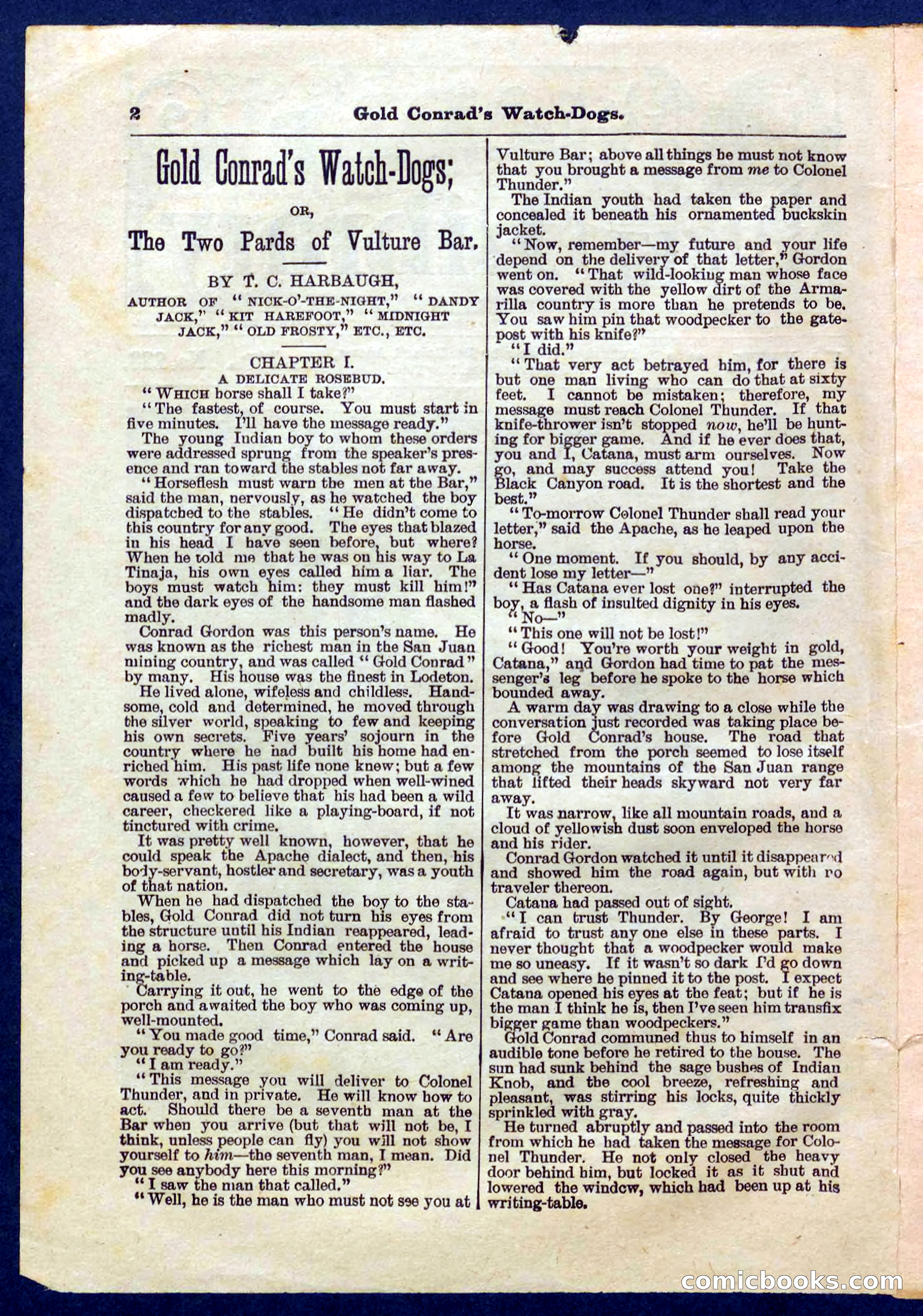 Beadle's Pocket Library No. 223 — page 2 of 32