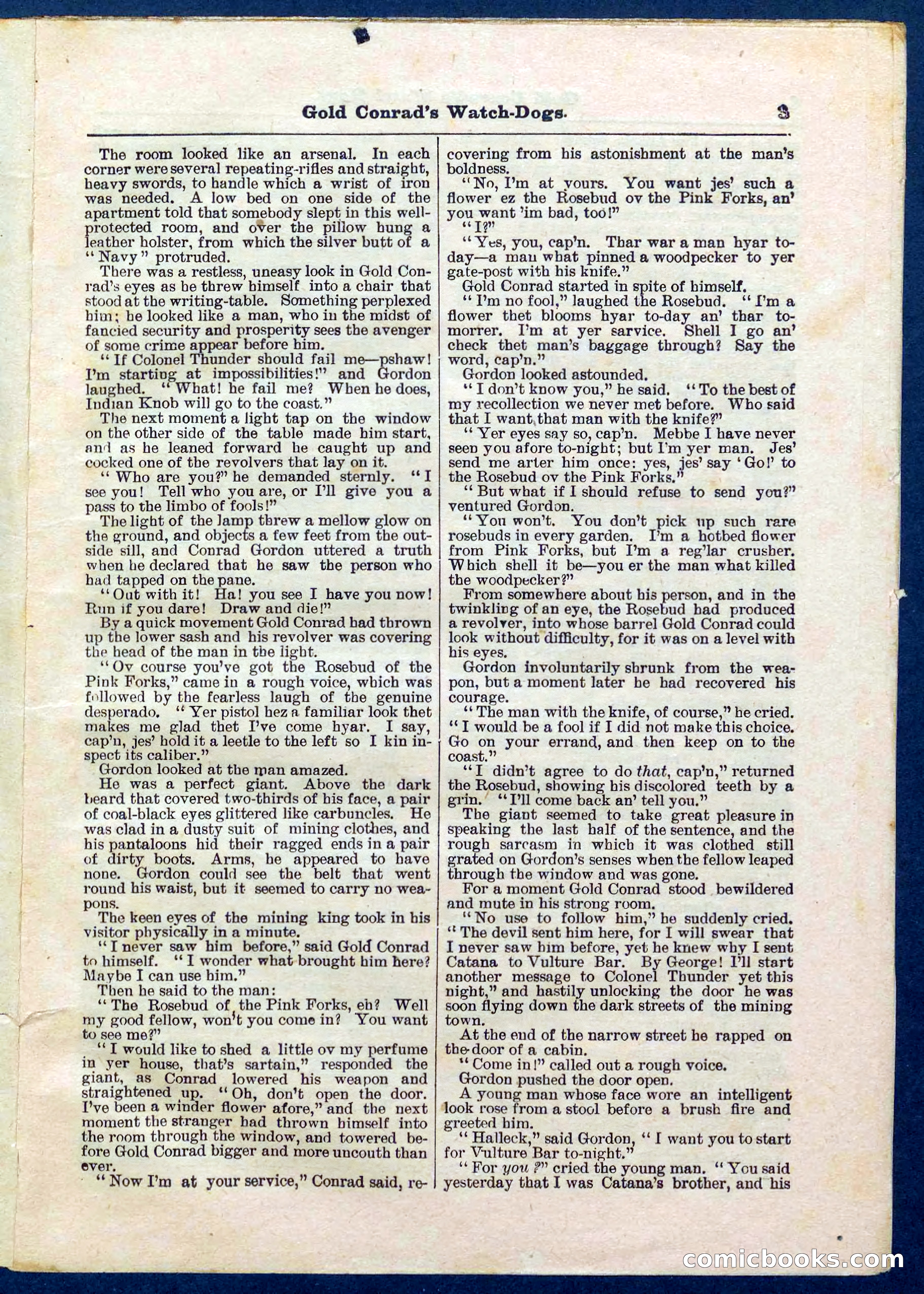 Beadle's Pocket Library No. 223 — page 3 of 32