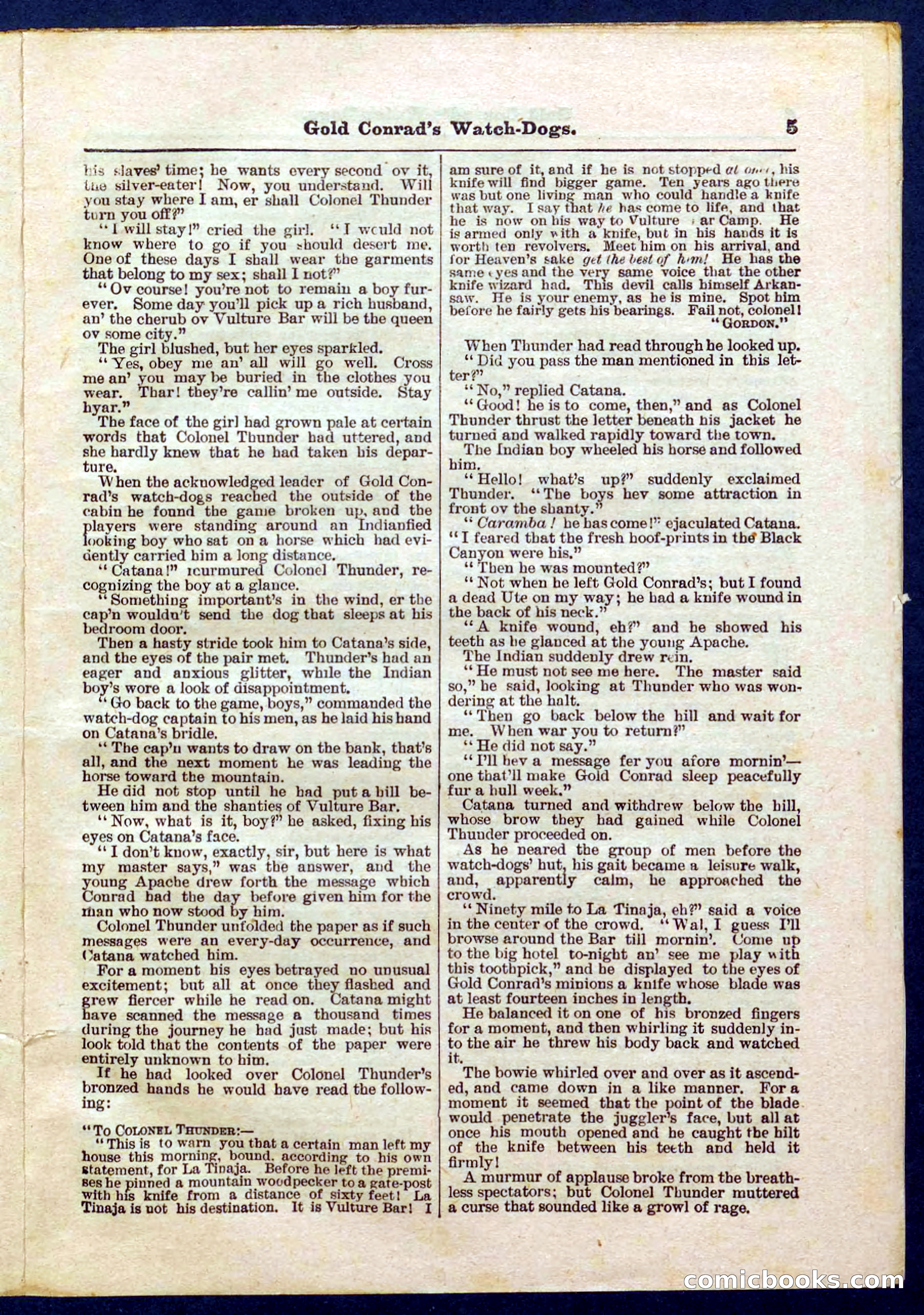 Beadle's Pocket Library No. 223 — page 5 of 32