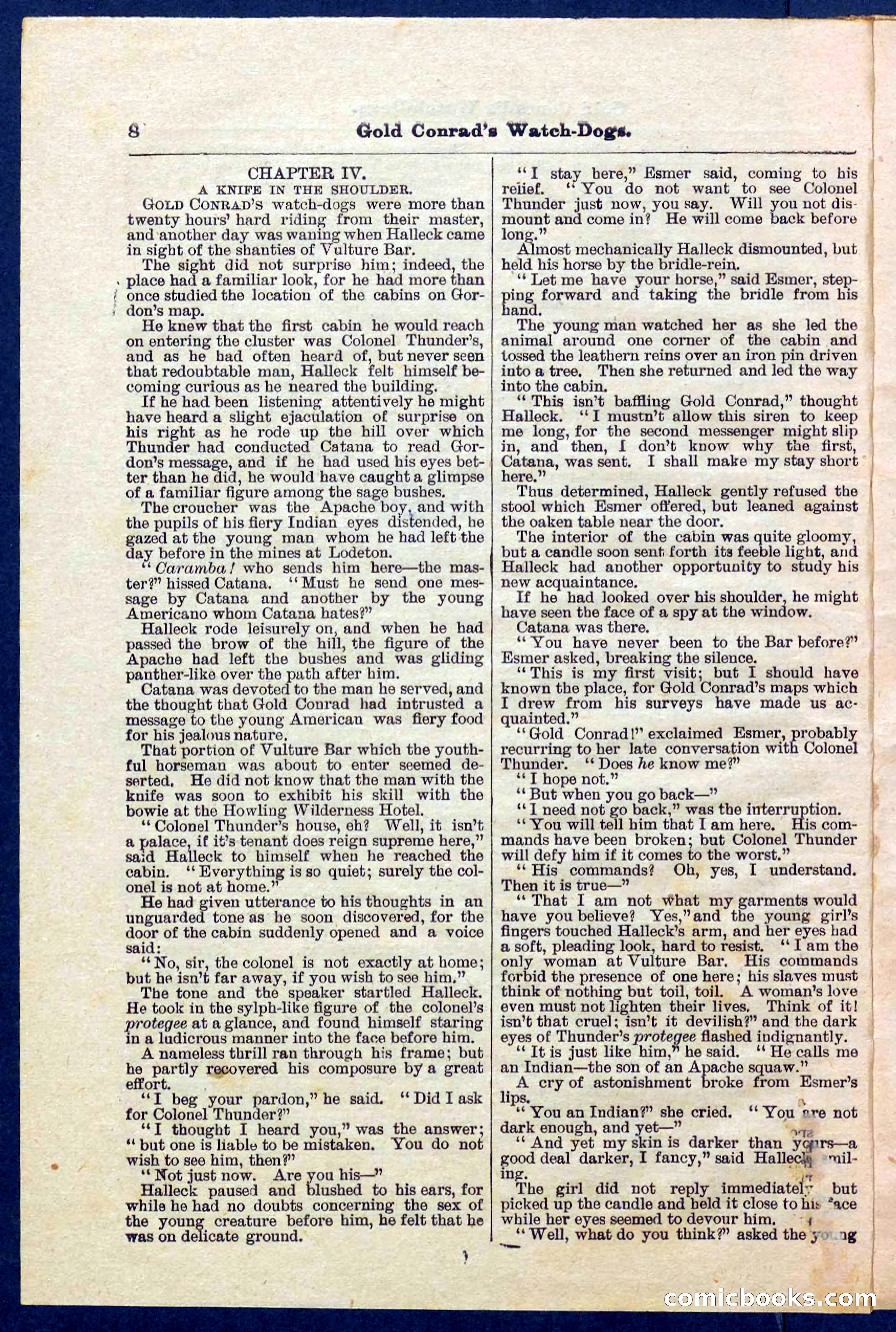 Beadle's Pocket Library No. 223 — page 8 of 32