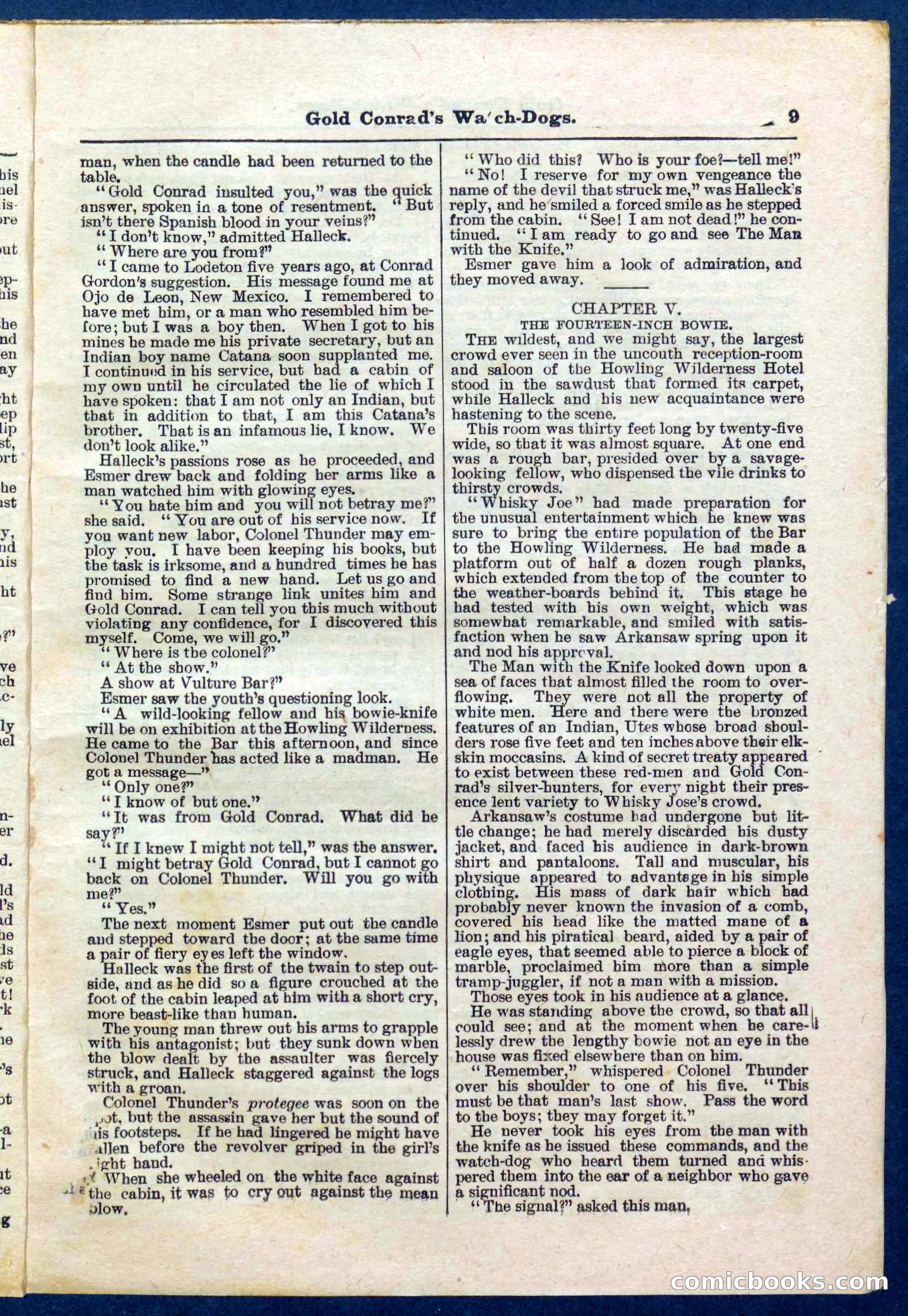 Beadle's Pocket Library No. 223 — page 9 of 32