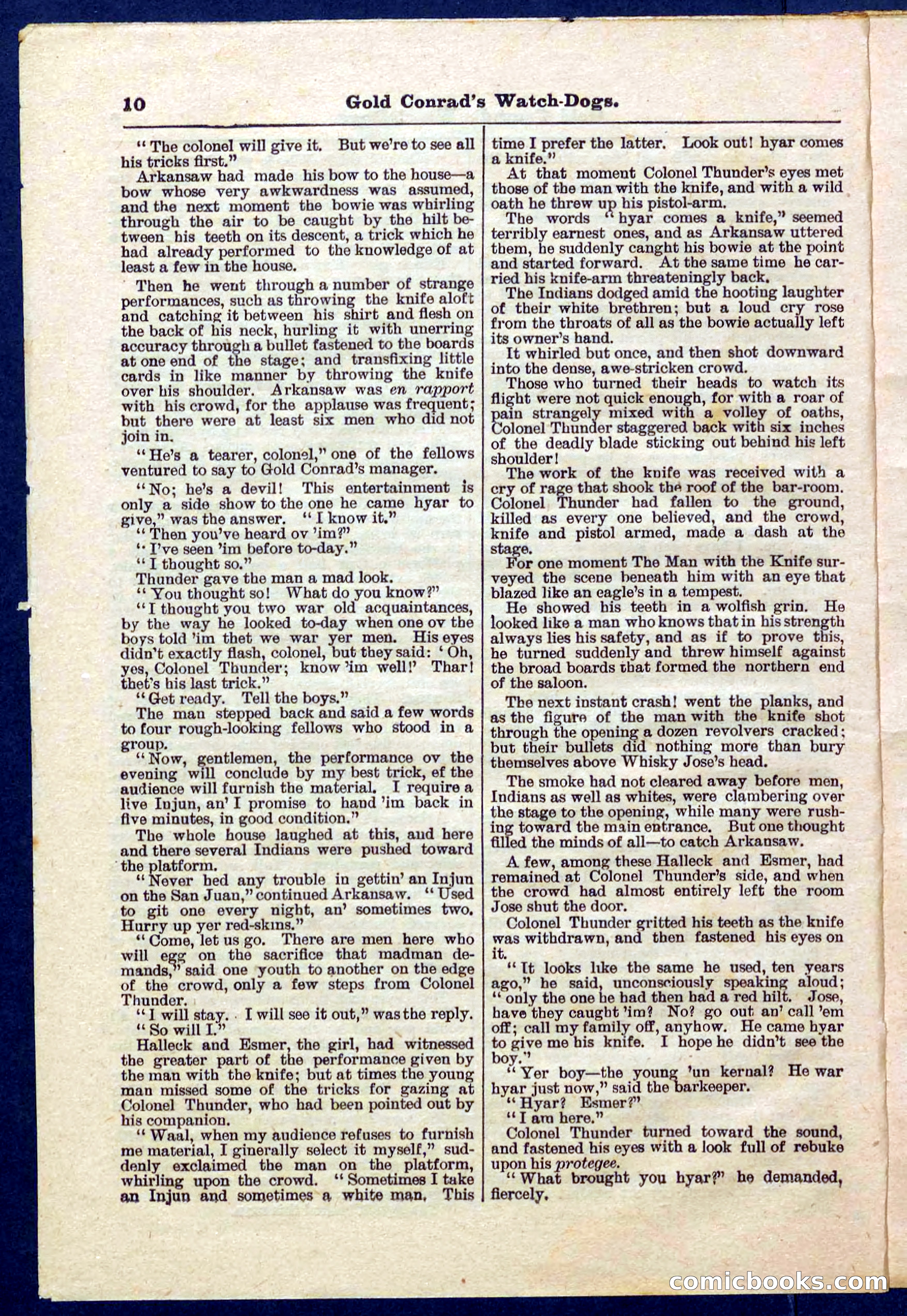 Beadle's Pocket Library No. 223 — page 10 of 32