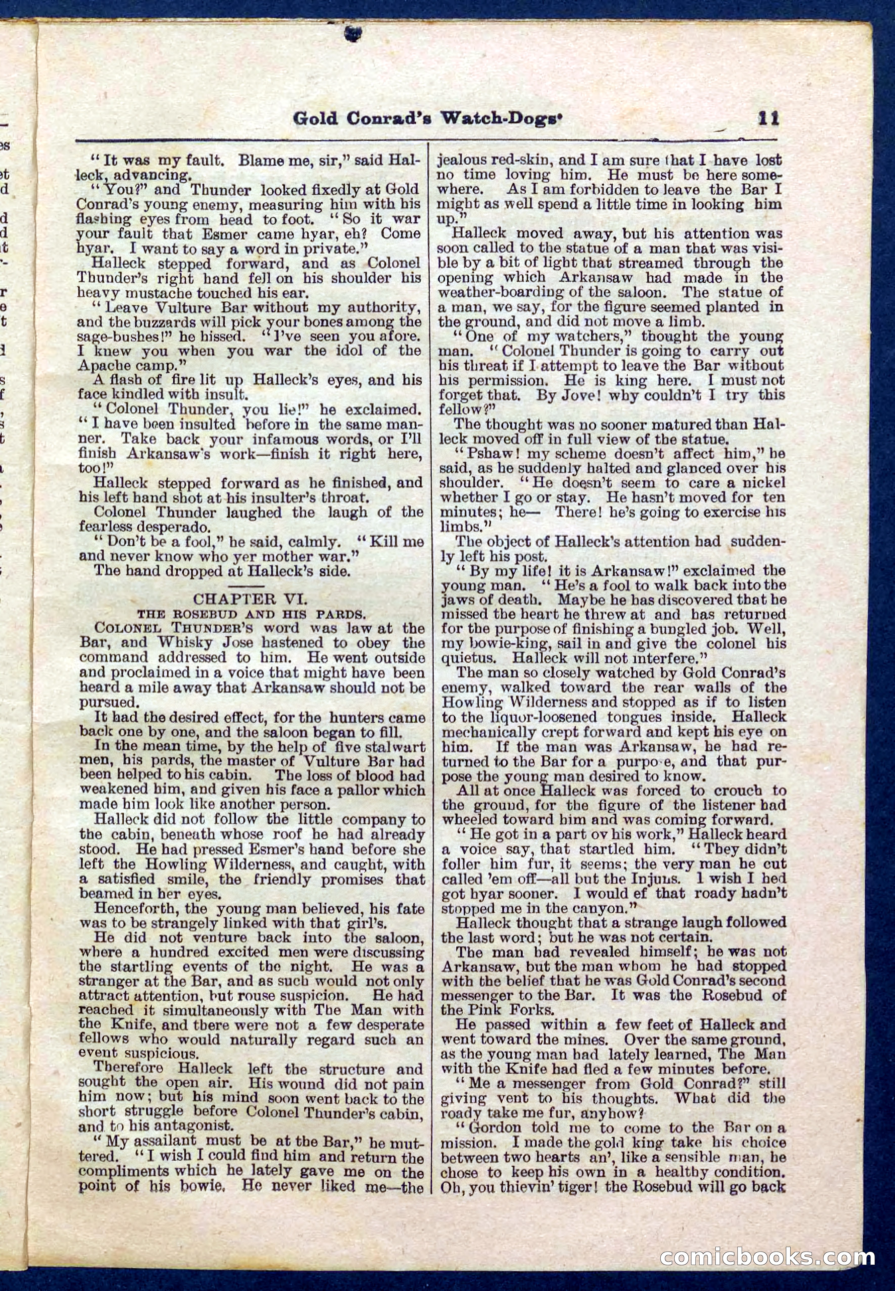 Beadle's Pocket Library No. 223 — page 11 of 32