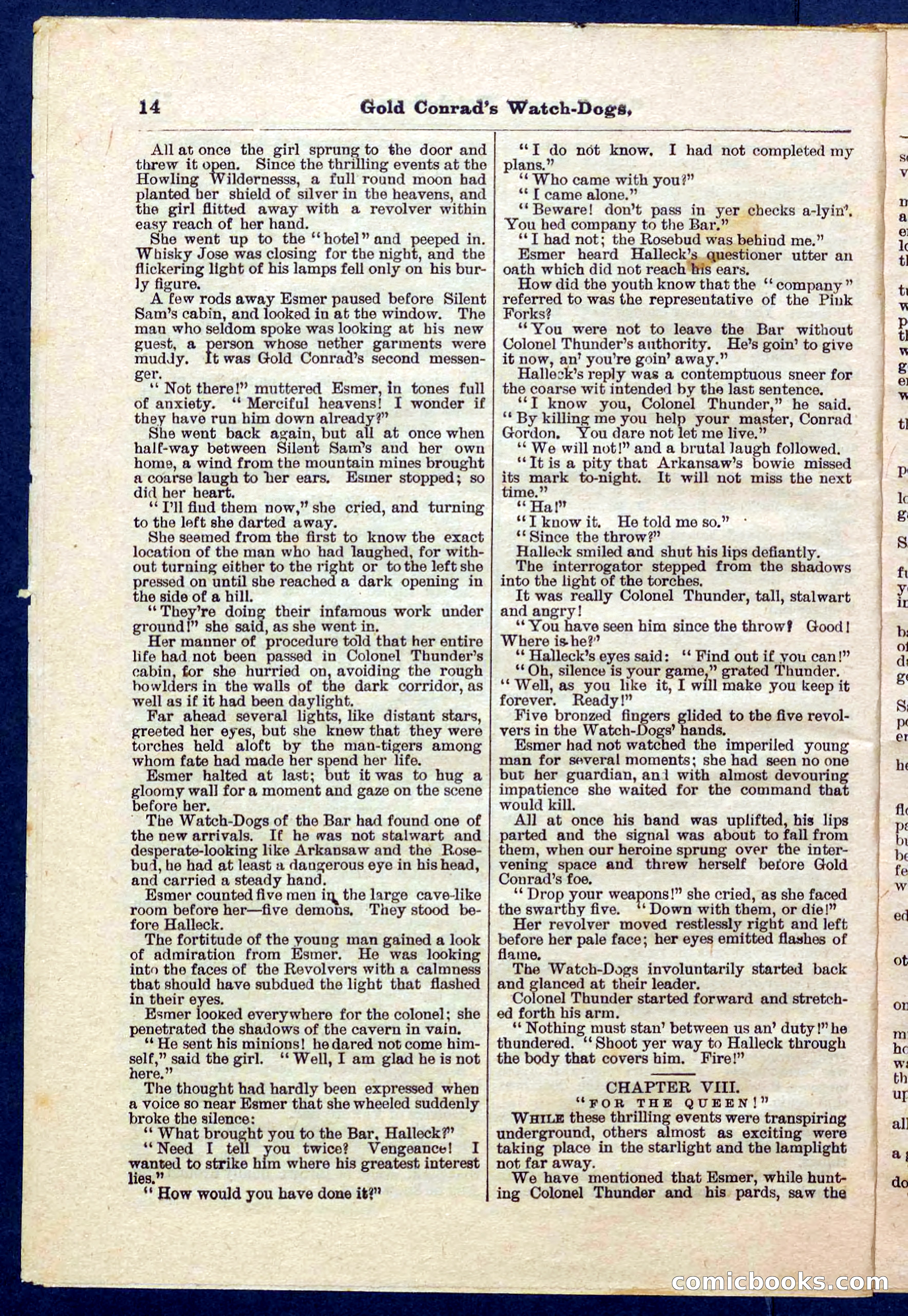 Beadle's Pocket Library No. 223 — page 14 of 32