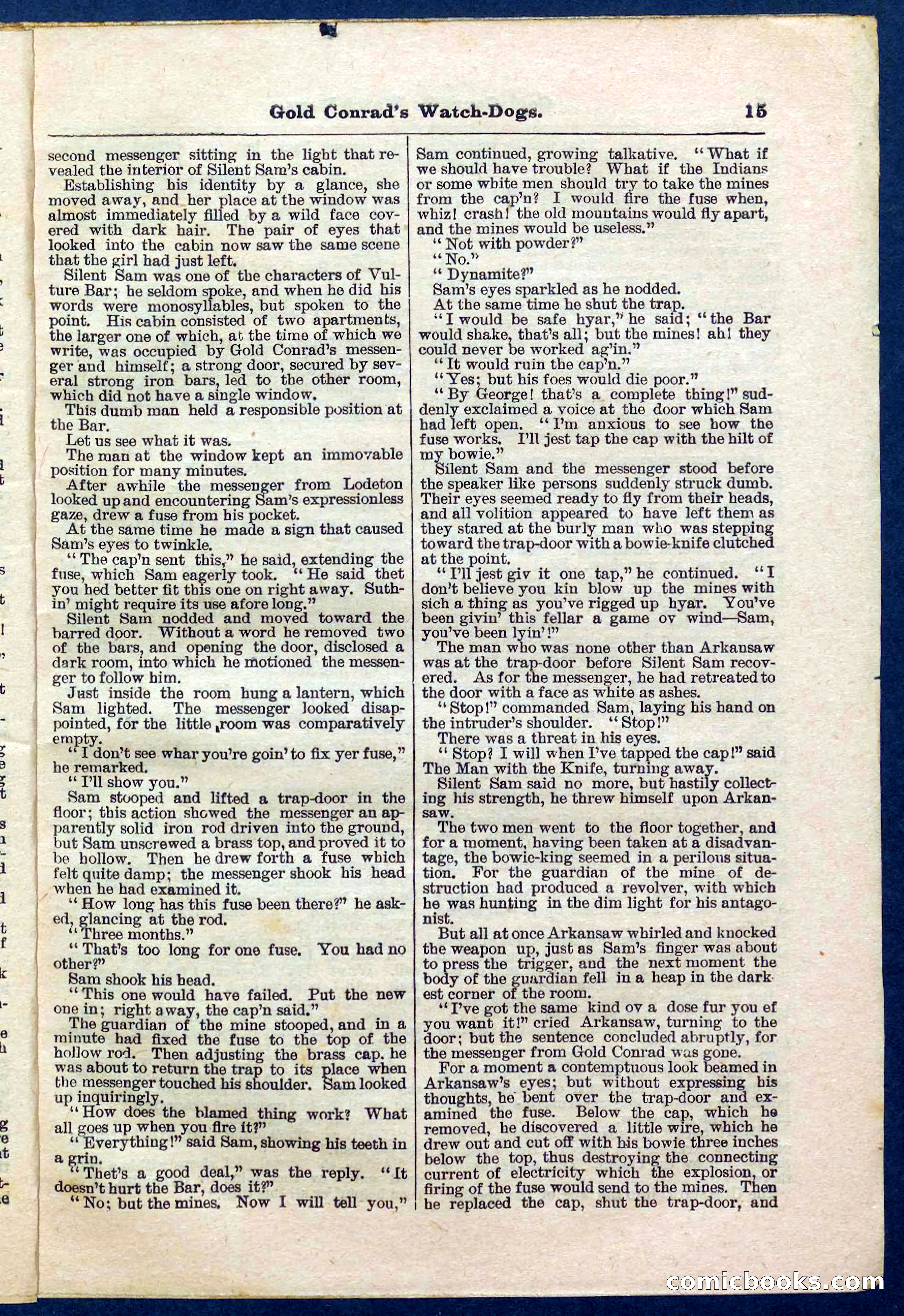 Beadle's Pocket Library No. 223 — page 15 of 32
