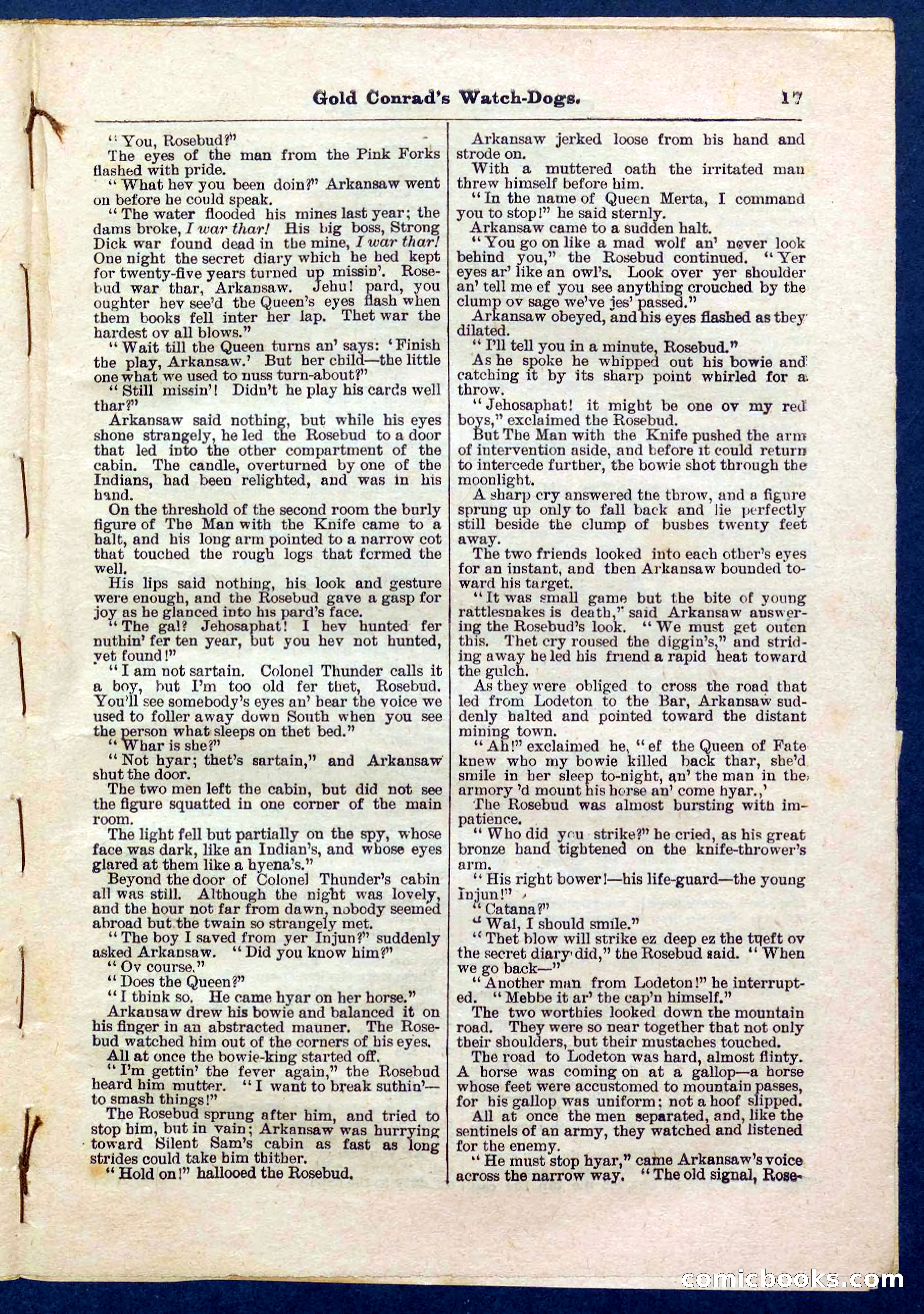 Beadle's Pocket Library No. 223 — page 17 of 32