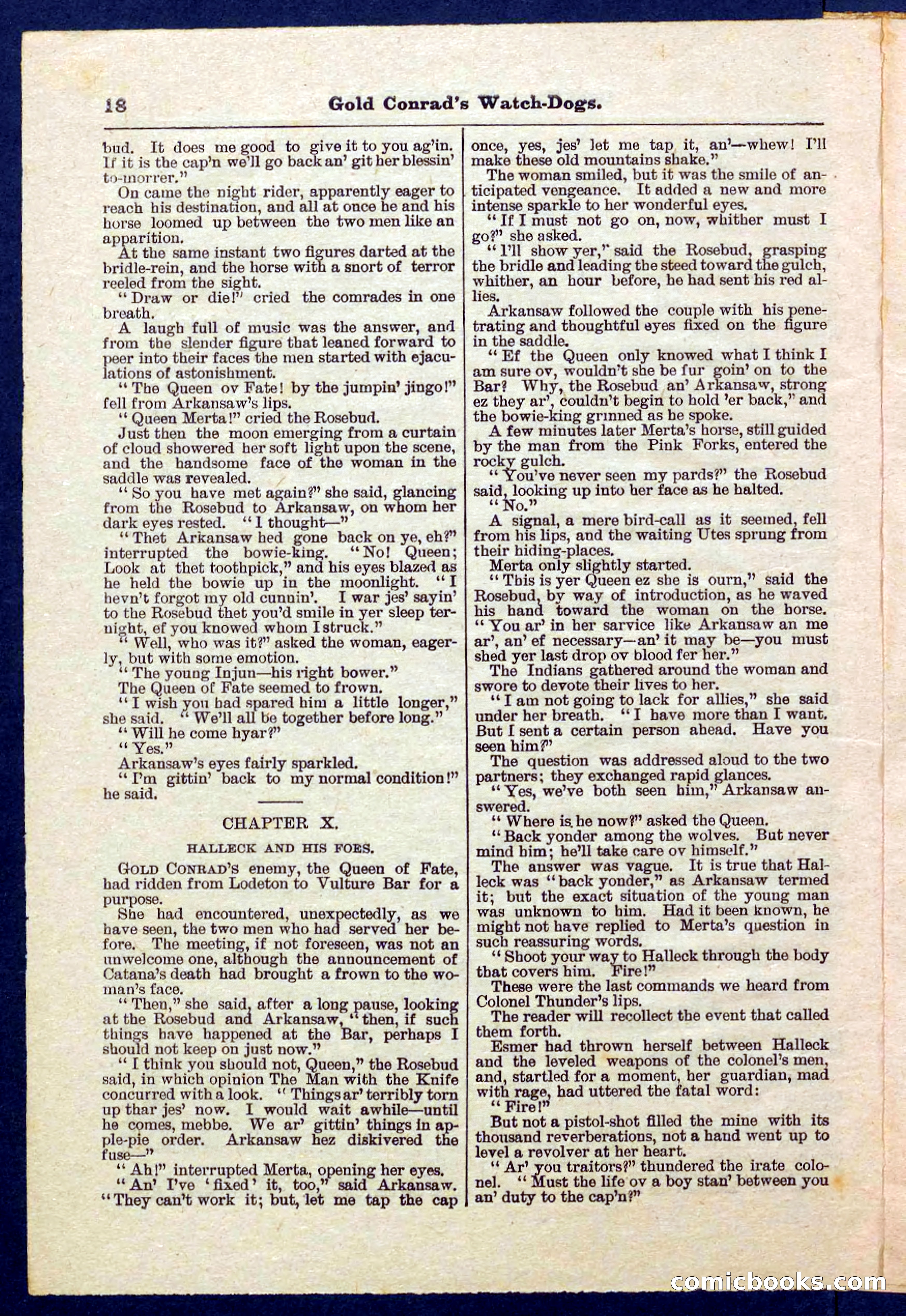 Beadle's Pocket Library No. 223 — page 18 of 32