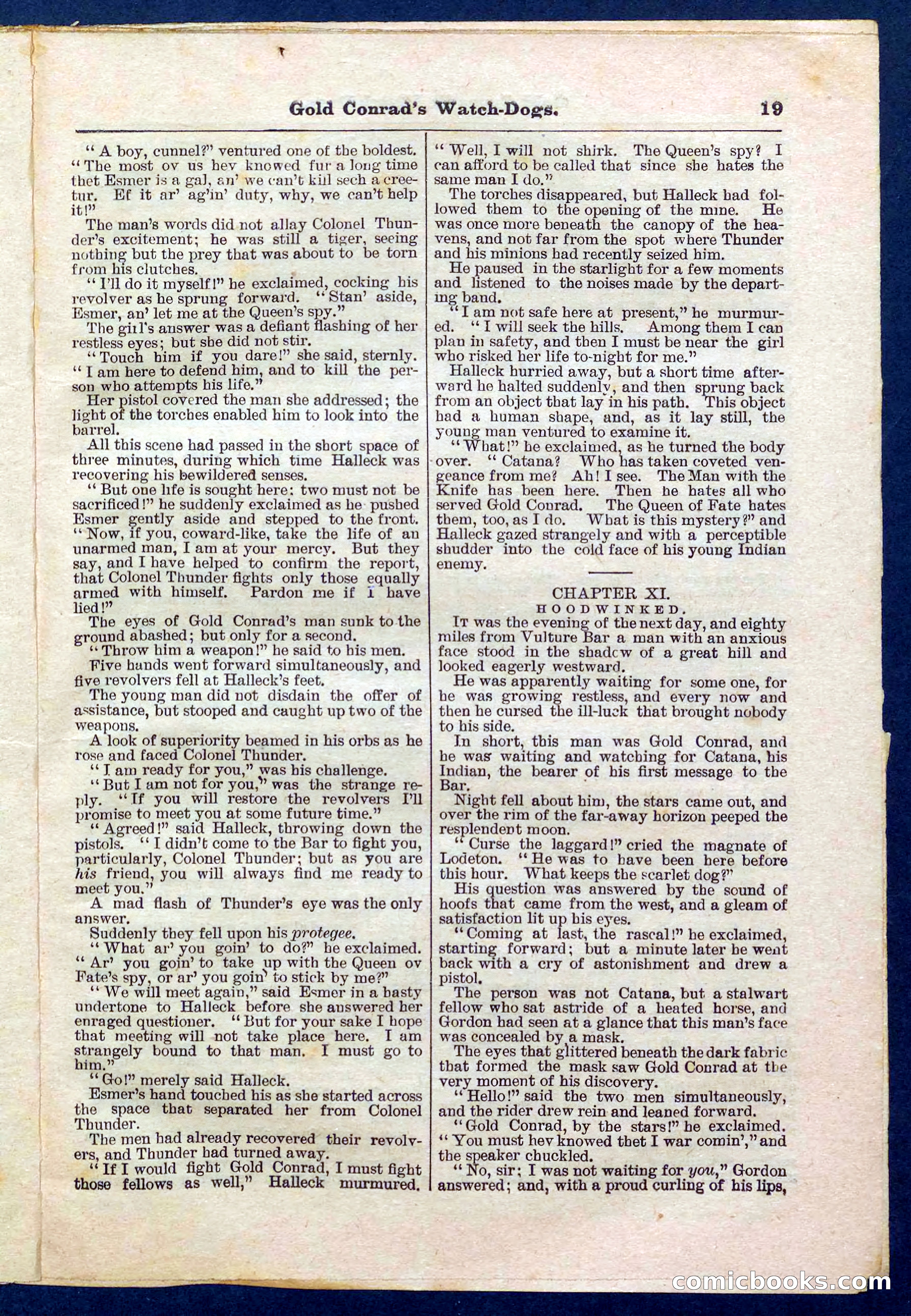 Beadle's Pocket Library No. 223 — page 19 of 32