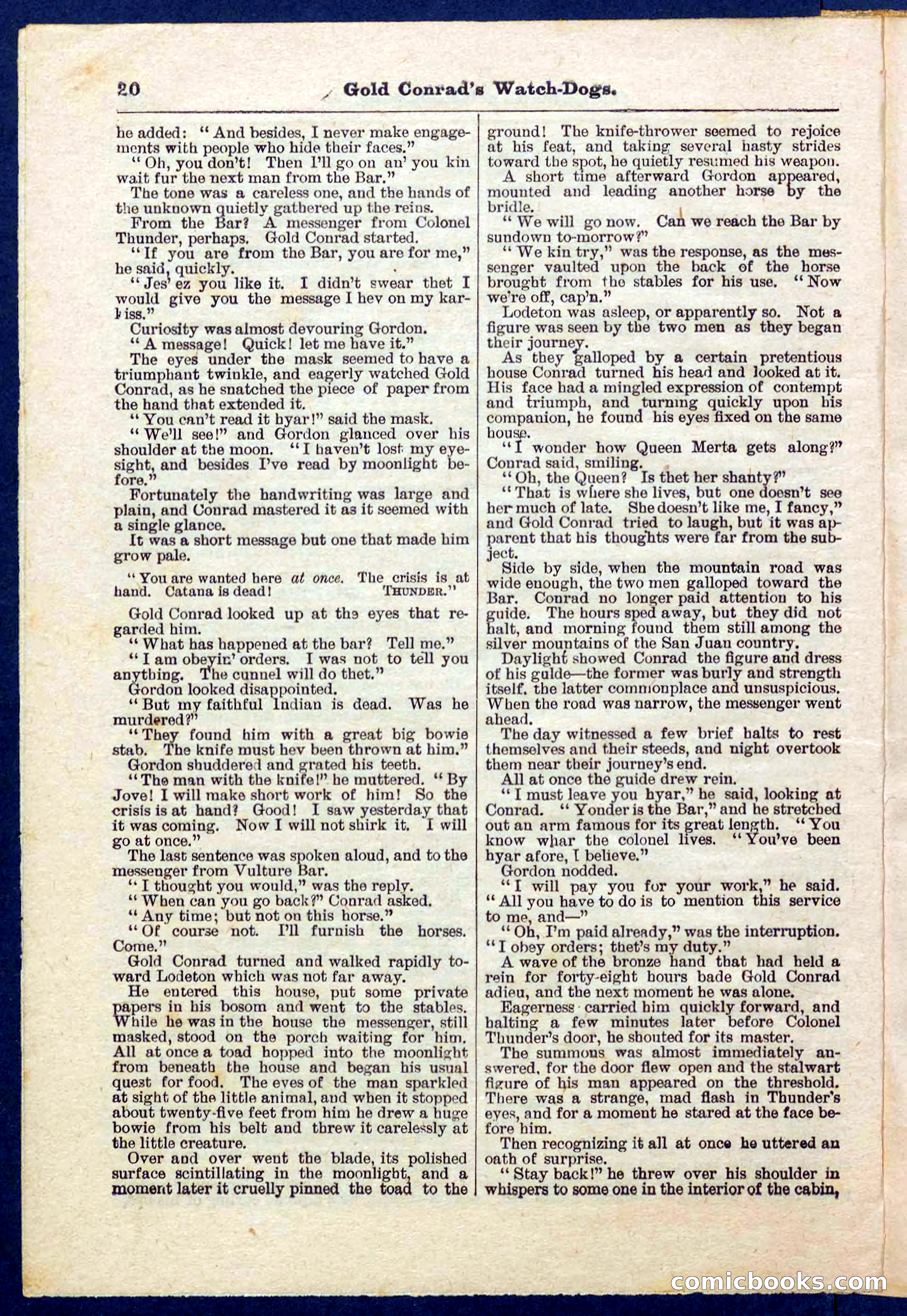 Beadle's Pocket Library No. 223 — page 20 of 32