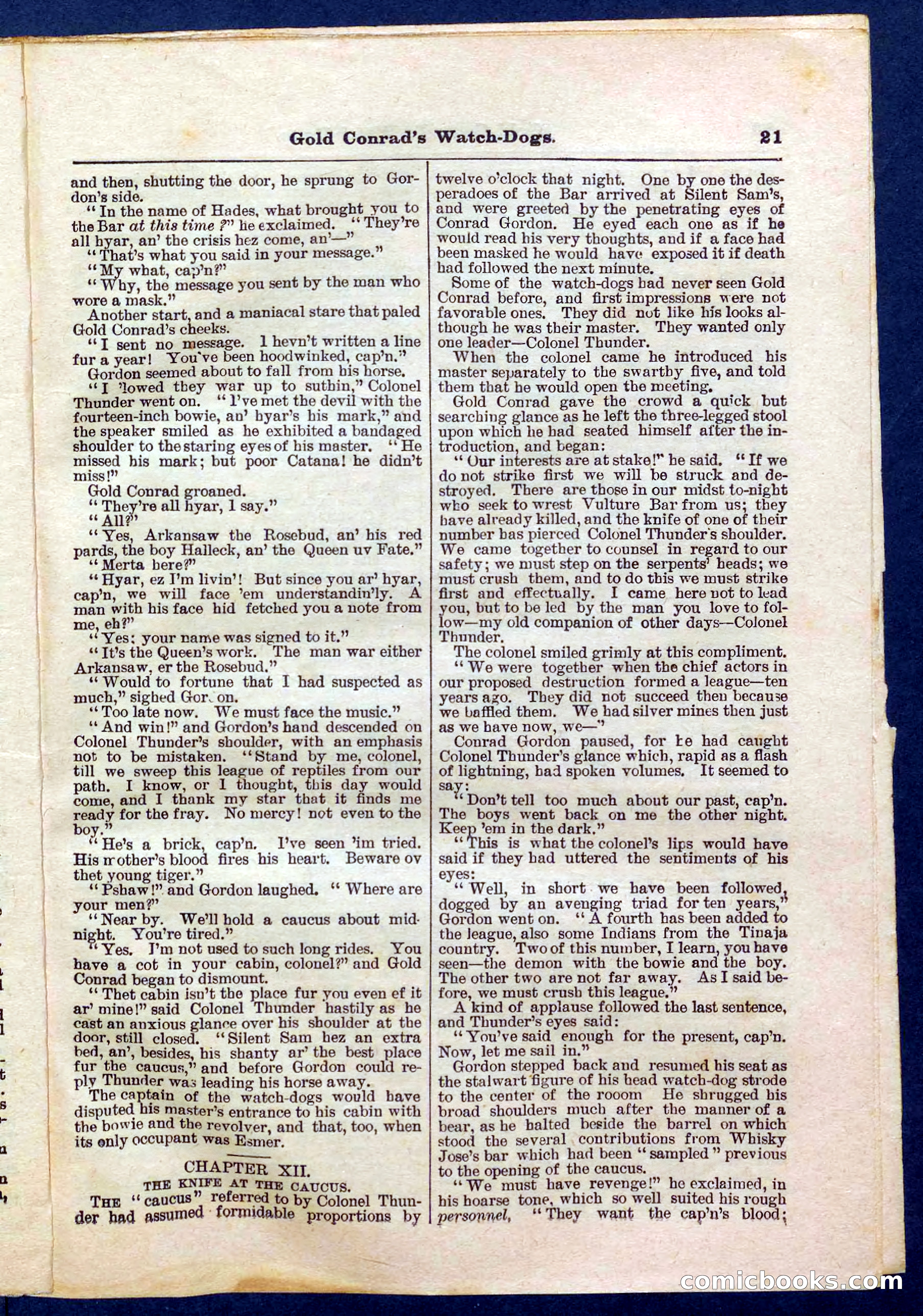 Beadle's Pocket Library No. 223 — page 21 of 32