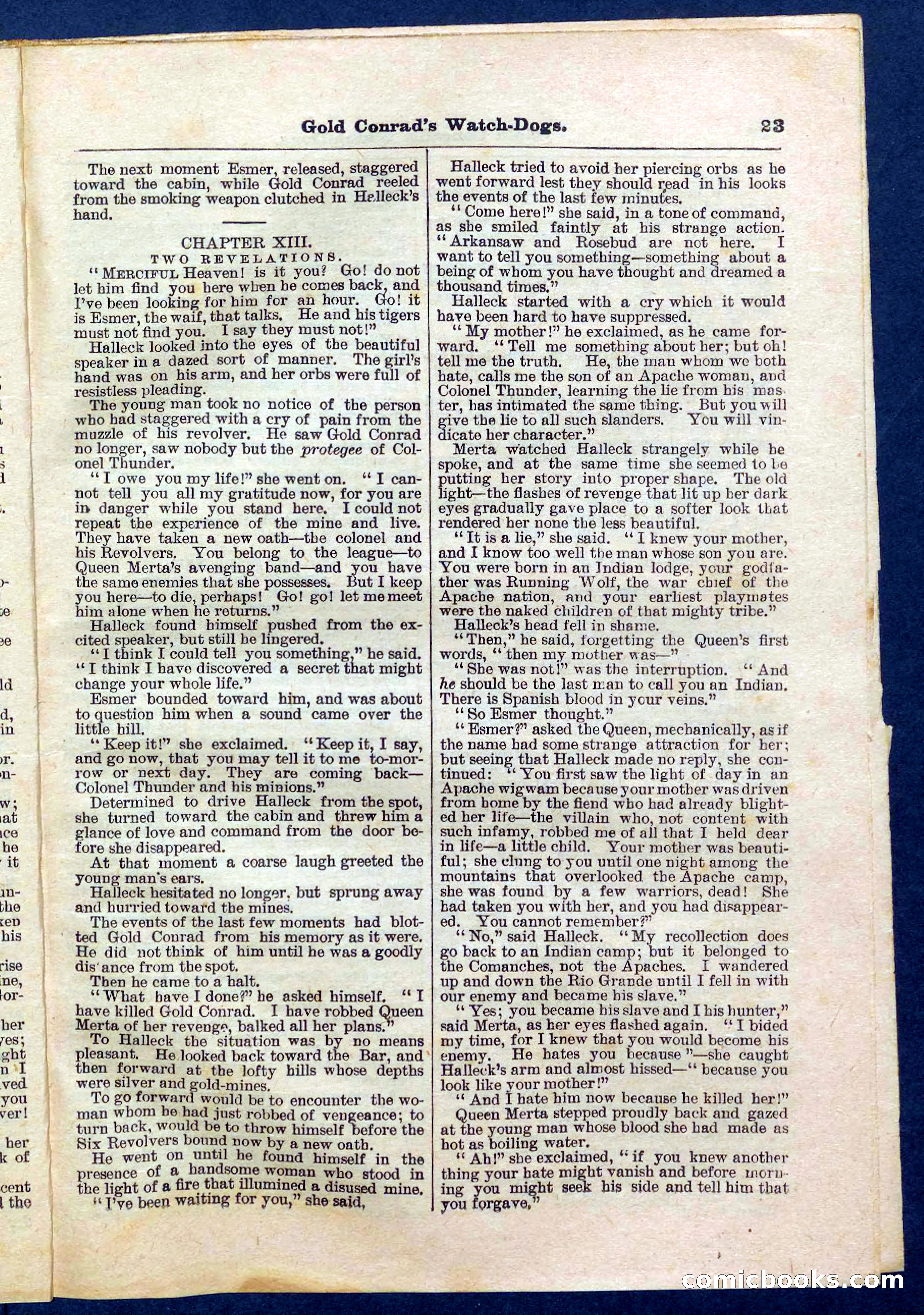 Beadle's Pocket Library No. 223 — page 23 of 32