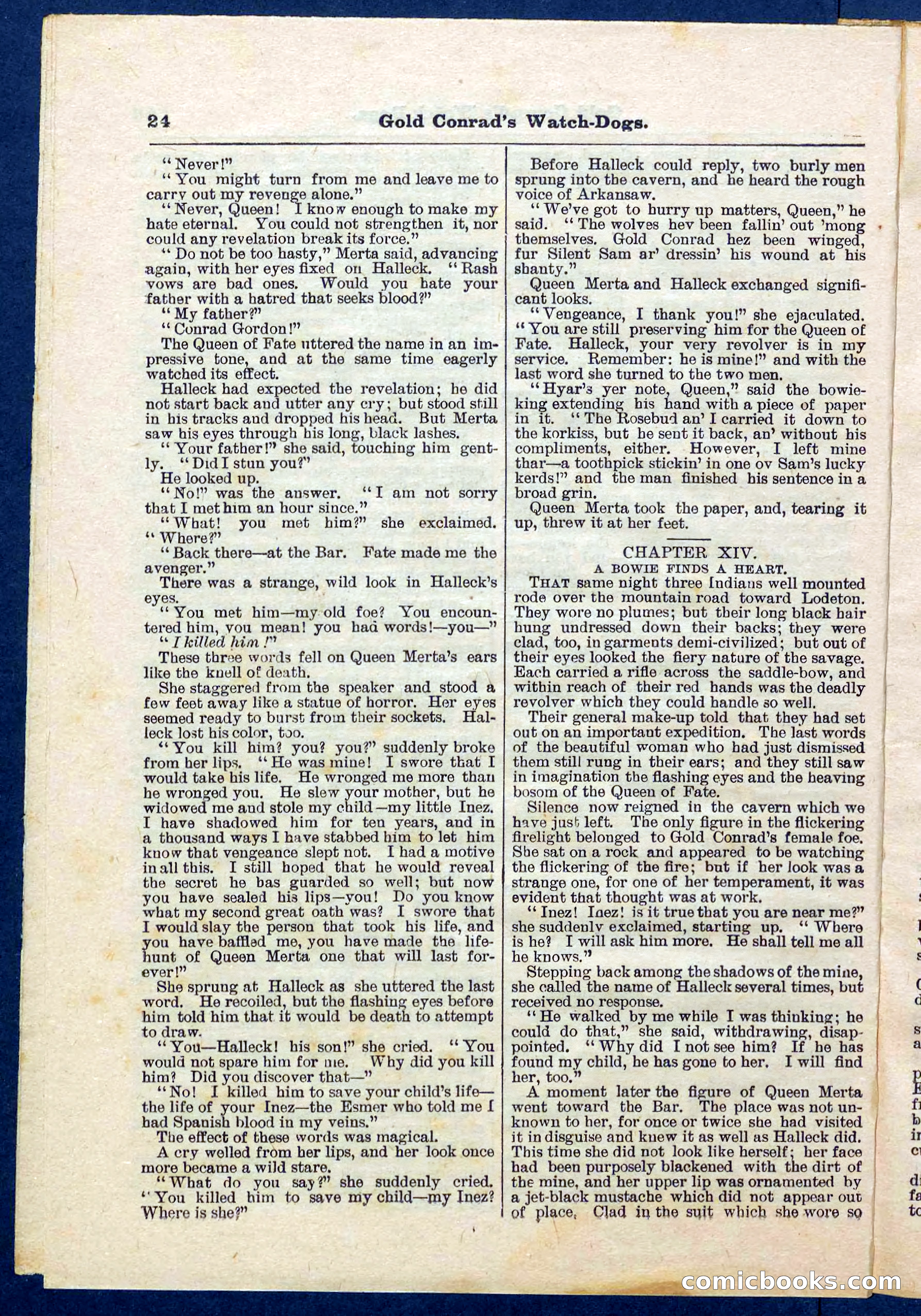 Beadle's Pocket Library No. 223 — page 24 of 32