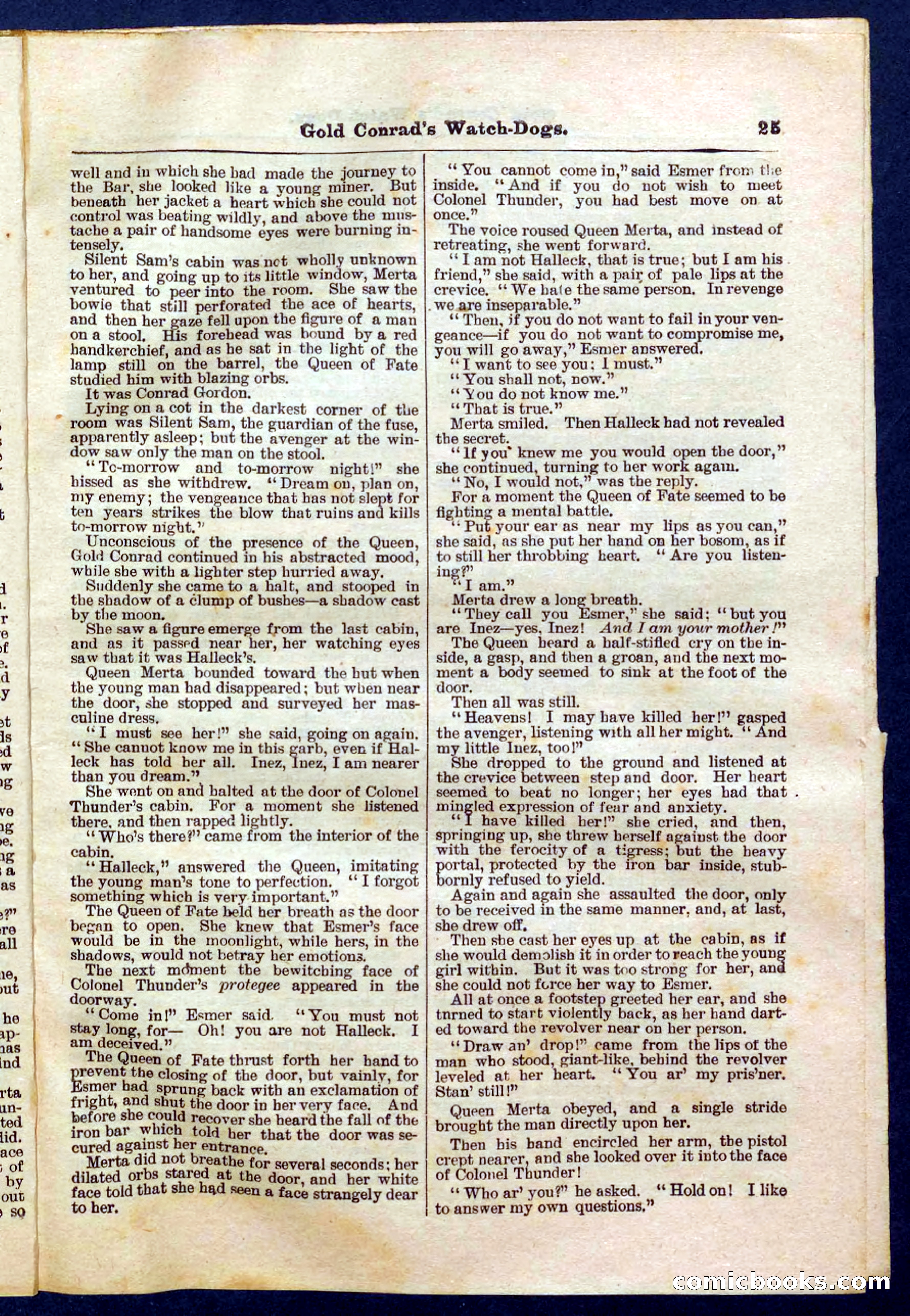 Beadle's Pocket Library No. 223 — page 25 of 32