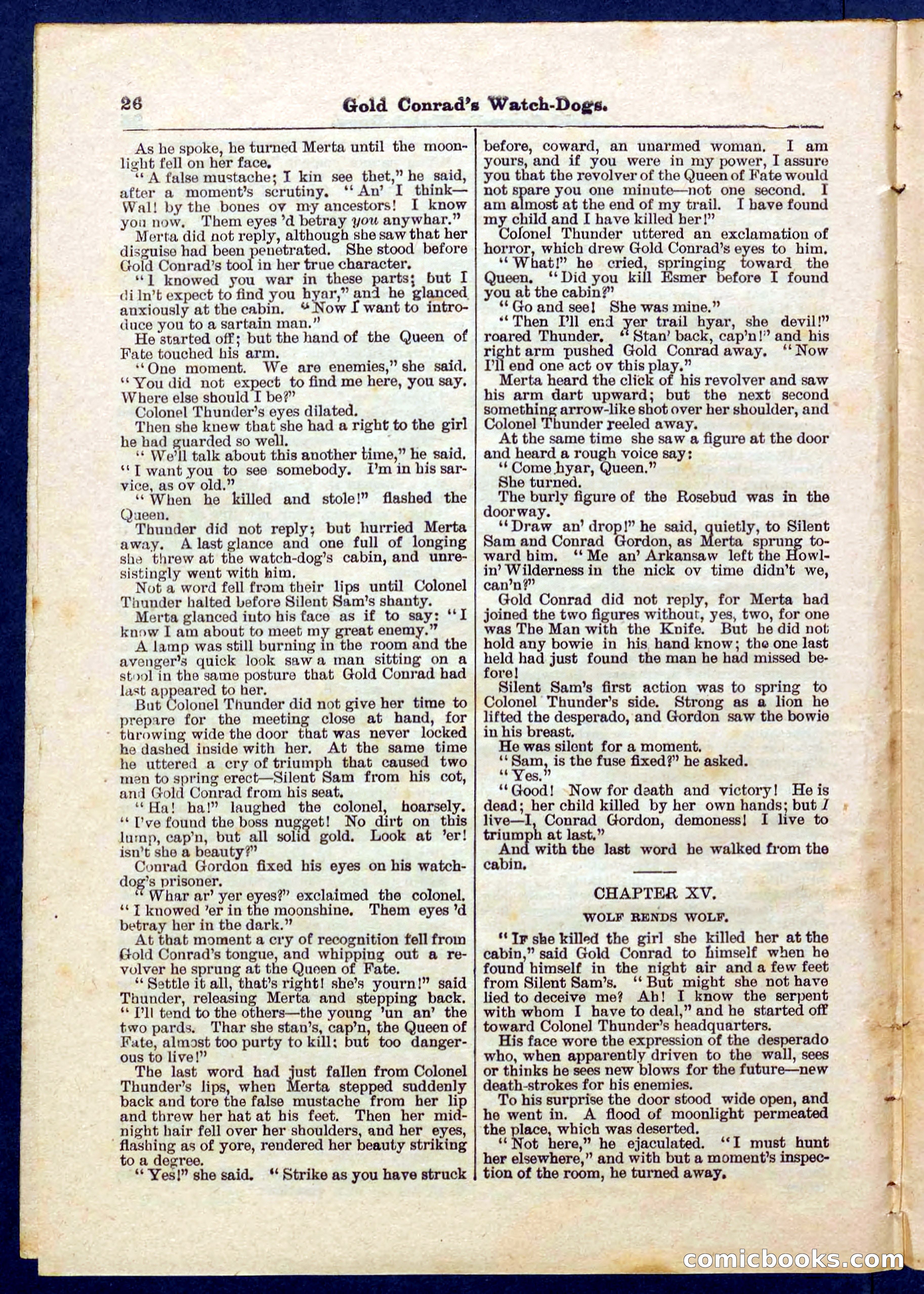 Beadle's Pocket Library No. 223 — page 26 of 32