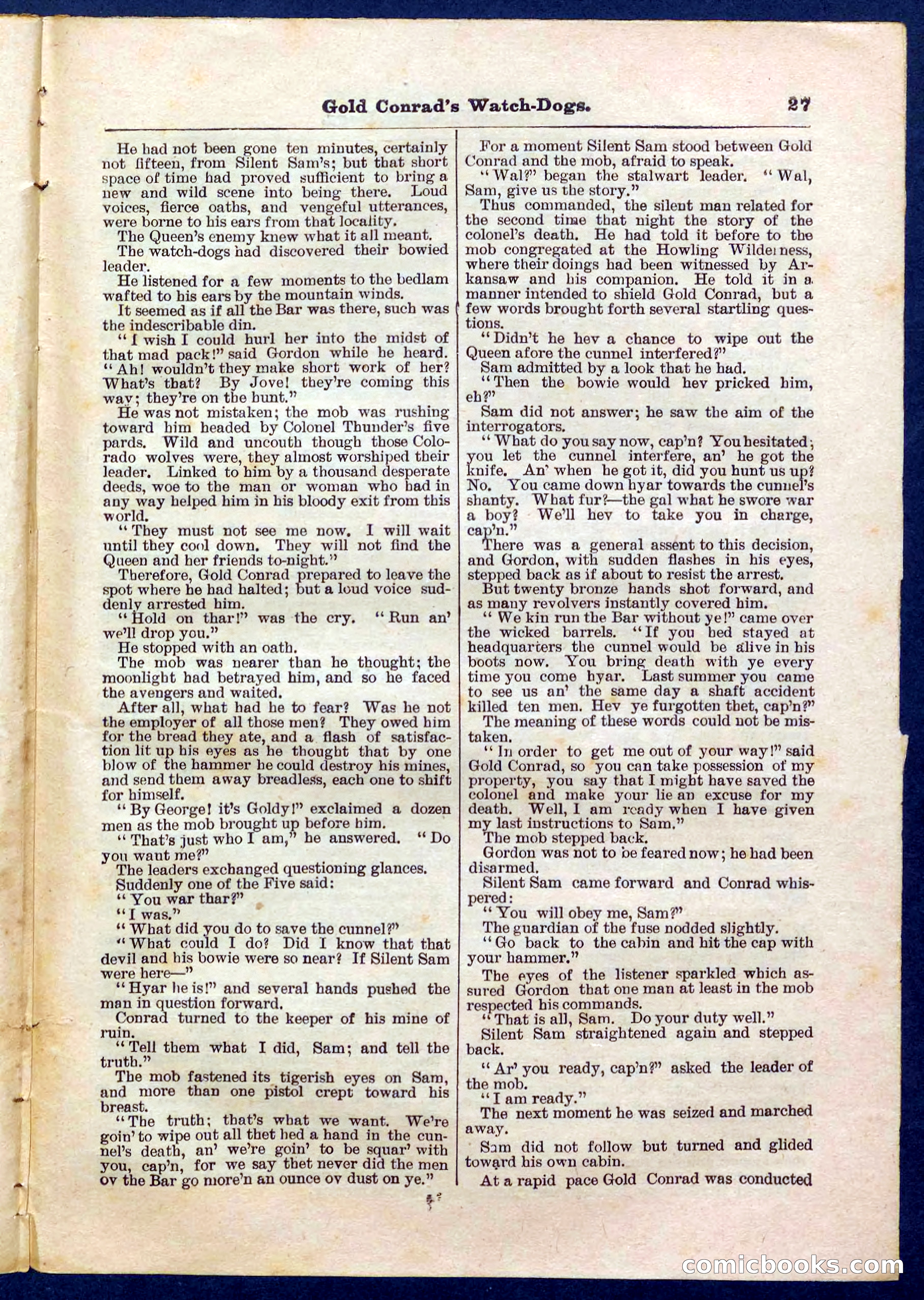 Beadle's Pocket Library No. 223 — page 27 of 32