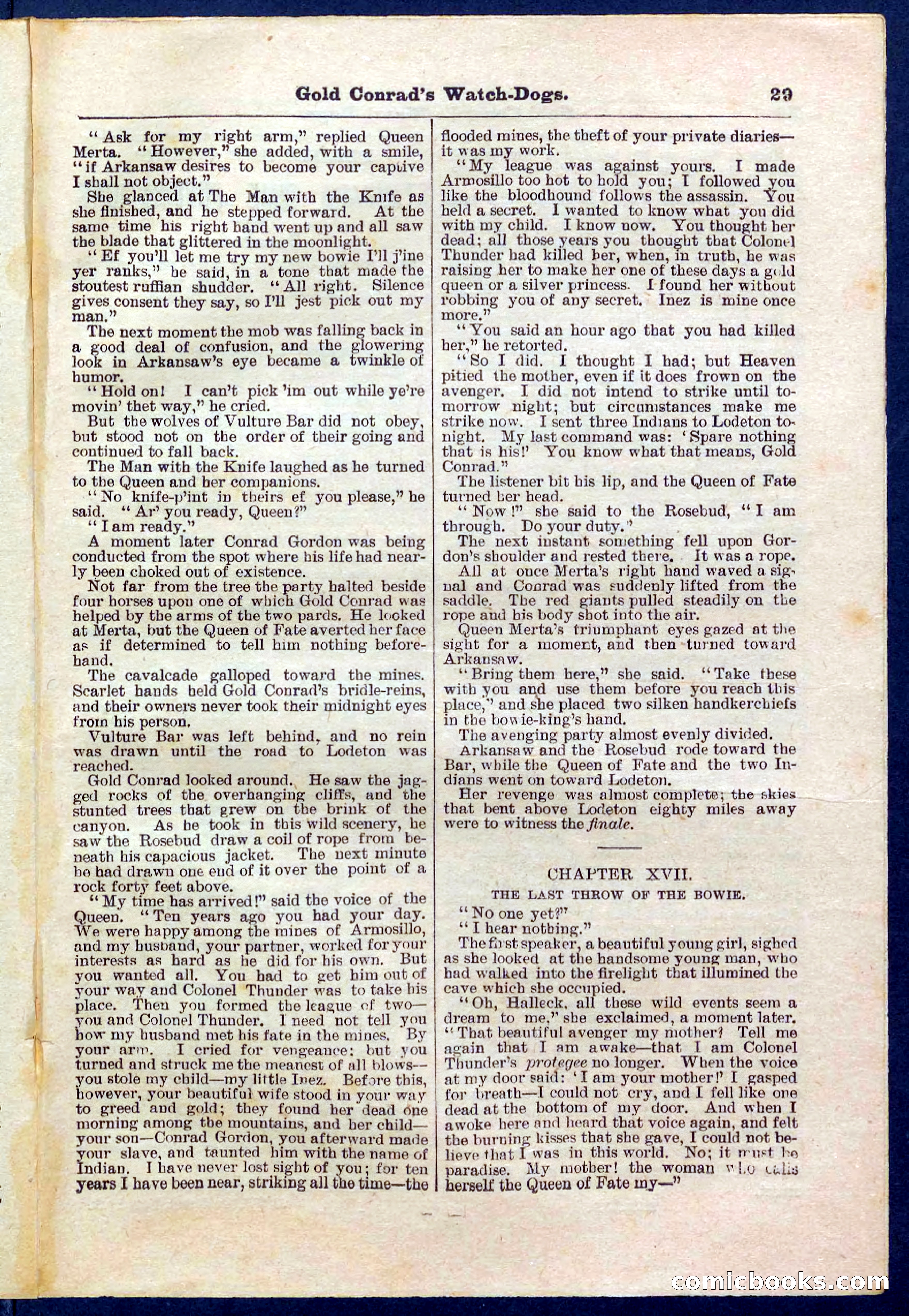 Beadle's Pocket Library No. 223 — page 29 of 32