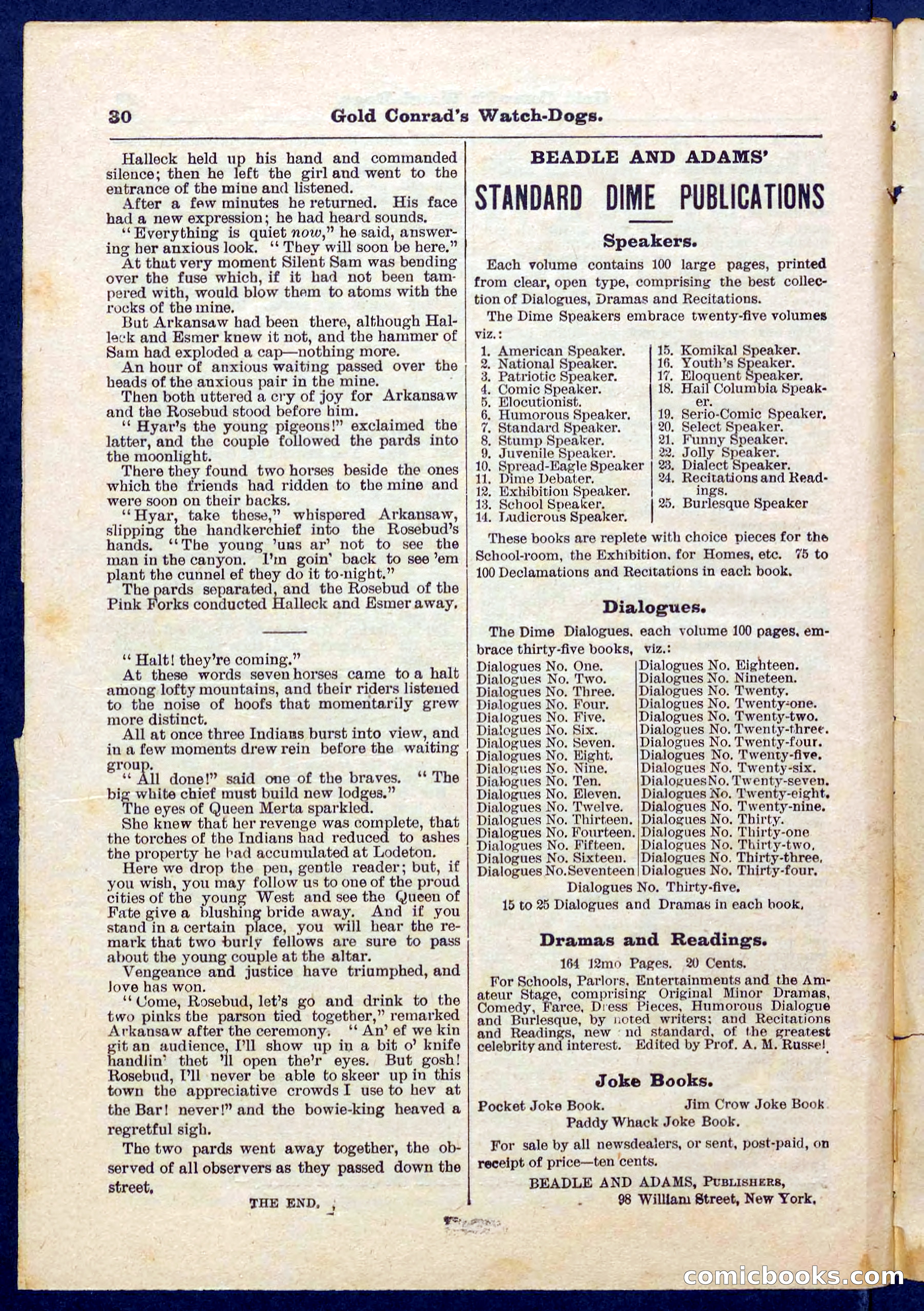 Beadle's Pocket Library No. 223 — page 30 of 32