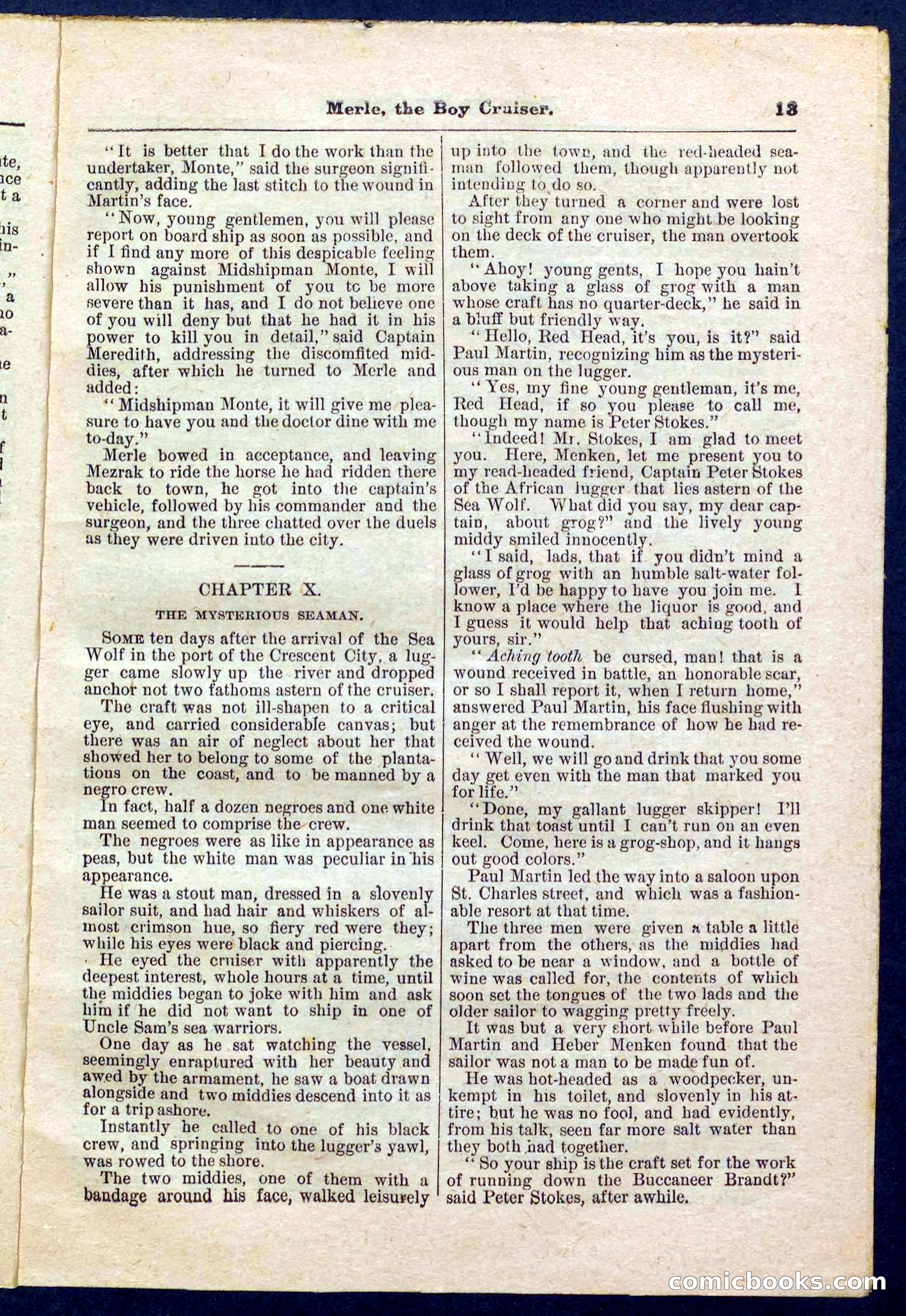 Beadle's Pocket Library No. 227 — page 13 of 32