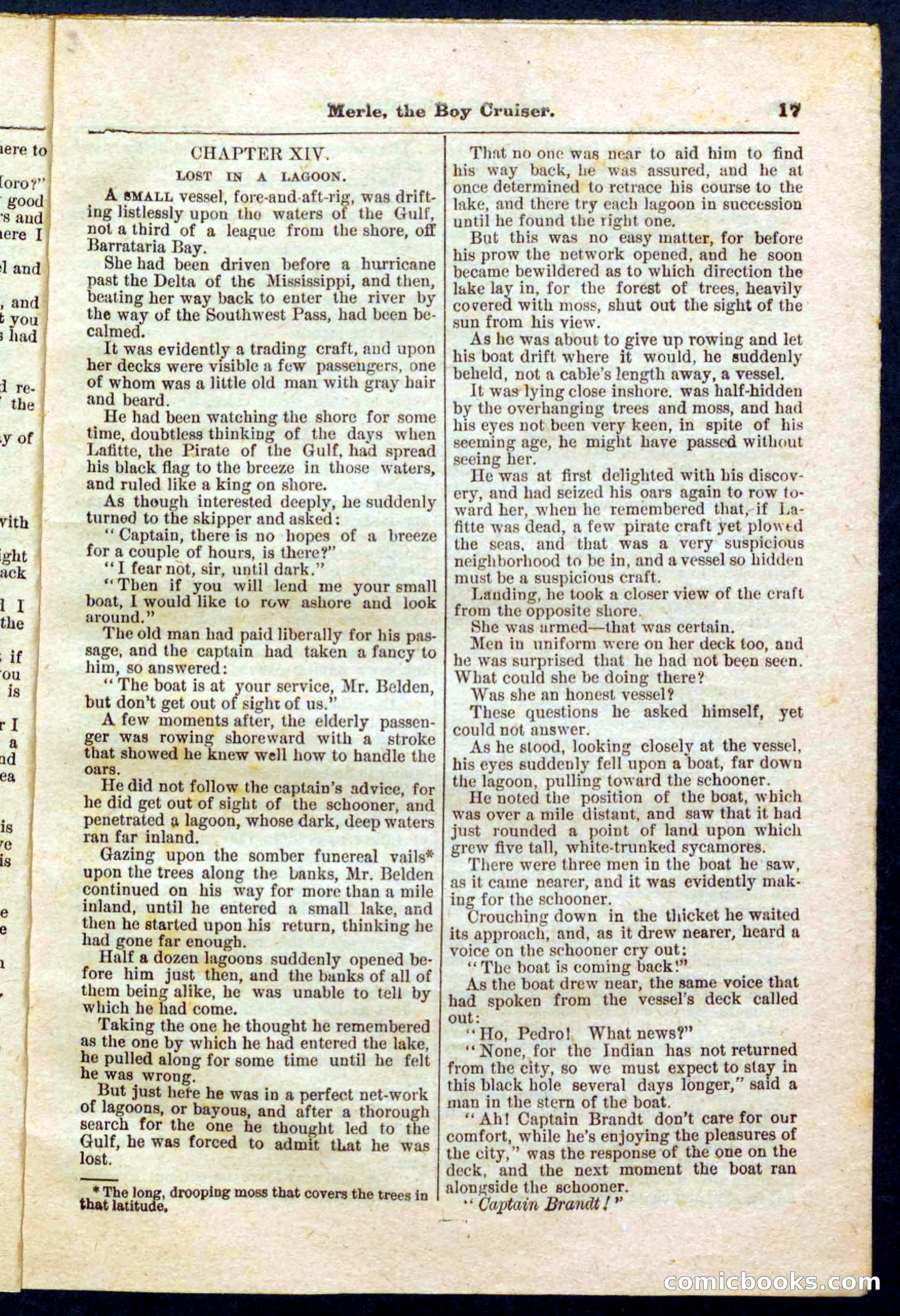 Beadle's Pocket Library No. 227 — page 17 of 32