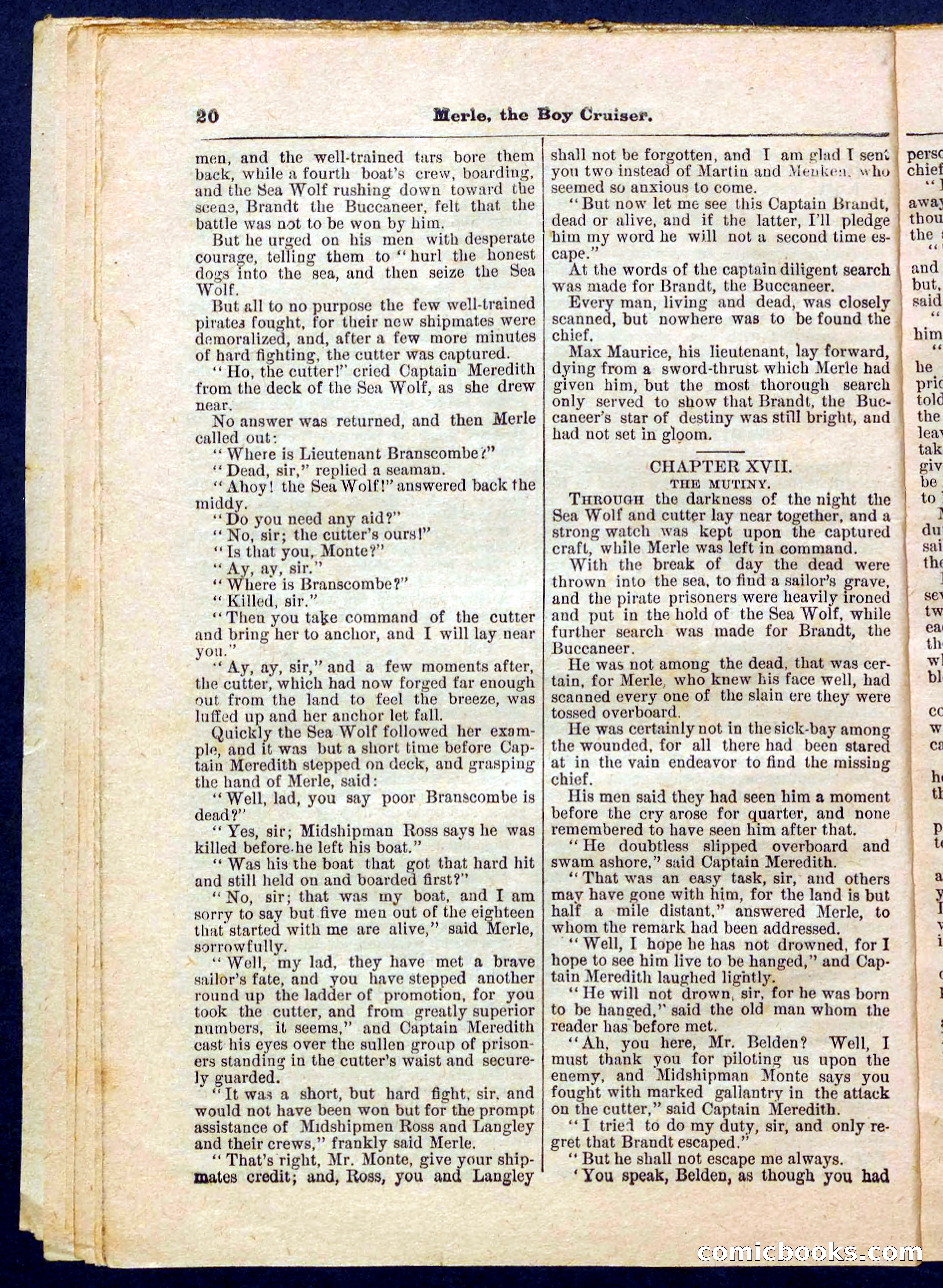 Beadle's Pocket Library No. 227 — page 20 of 32